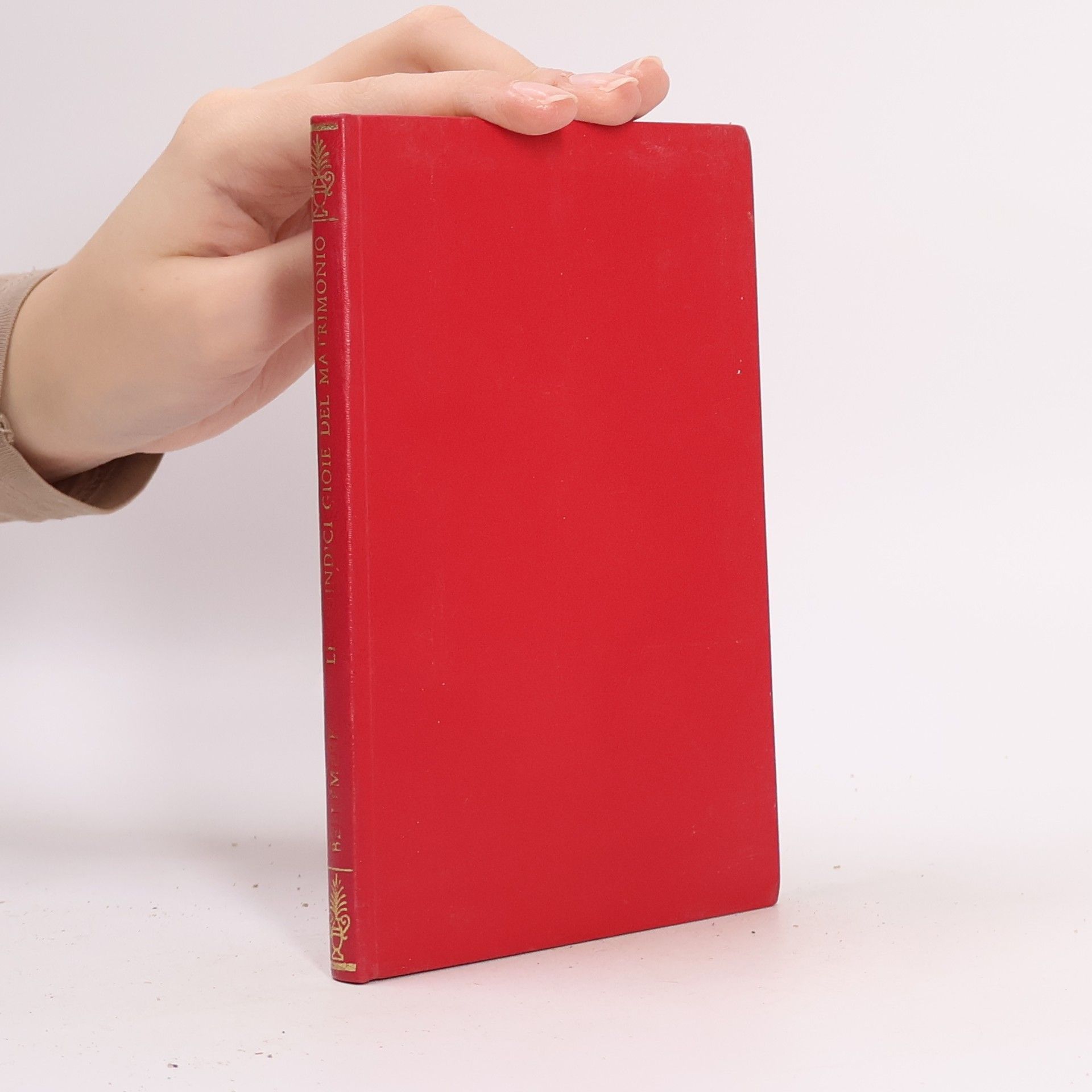 Gilles Bellemère Le Quindici Gioie Del Matrimonio