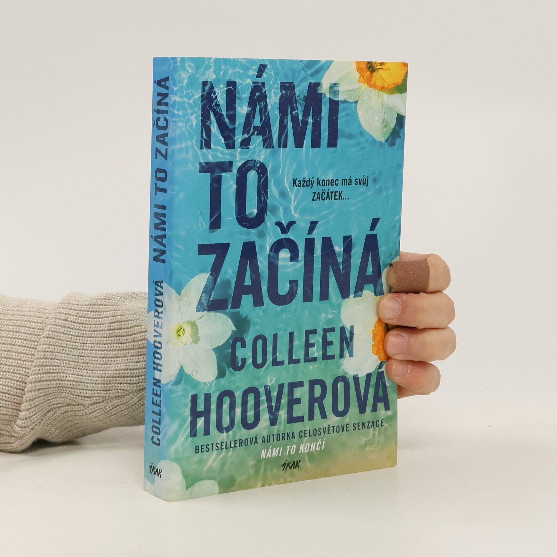 Colleen Hoover Námi to začíná
