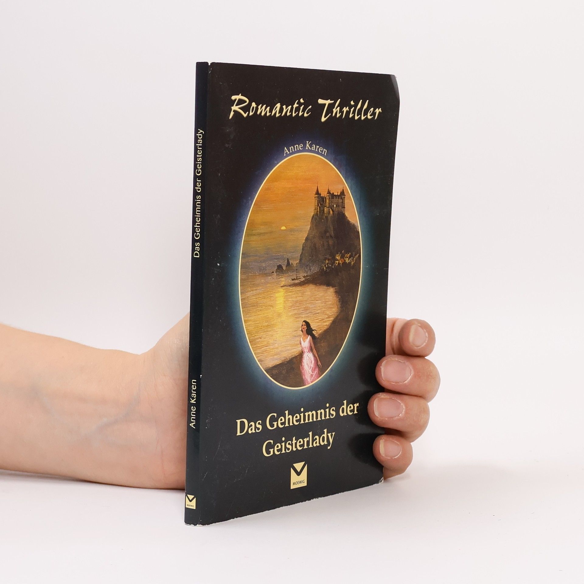 Anne Karen Das Geheimnis der Geisterlady
