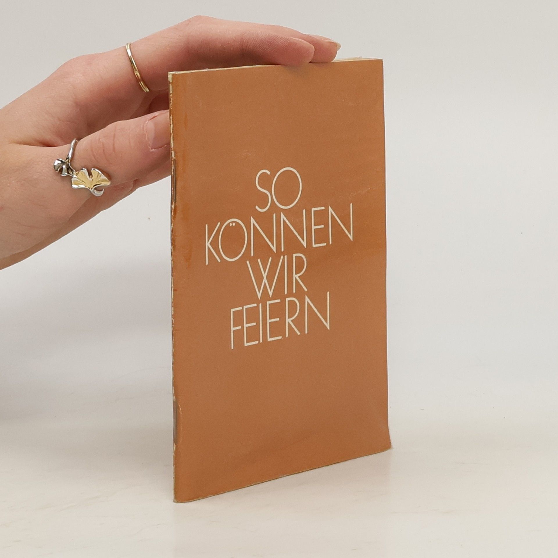 kolektiv So können wir feiern