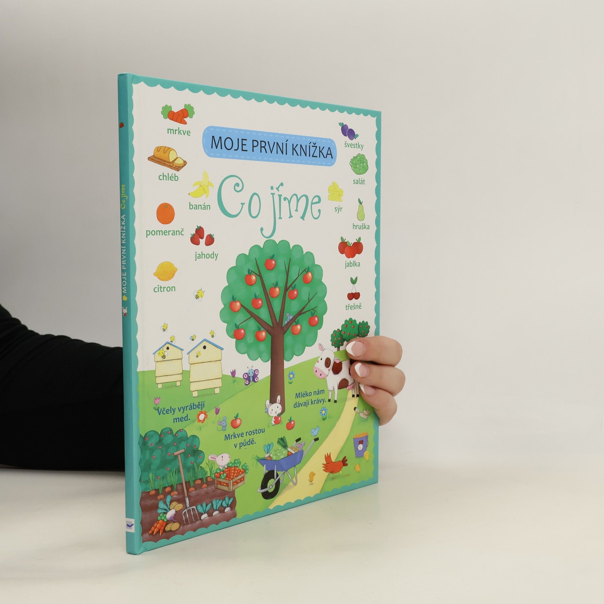 Felicity Brooks Moje první knížka. Co jíme.