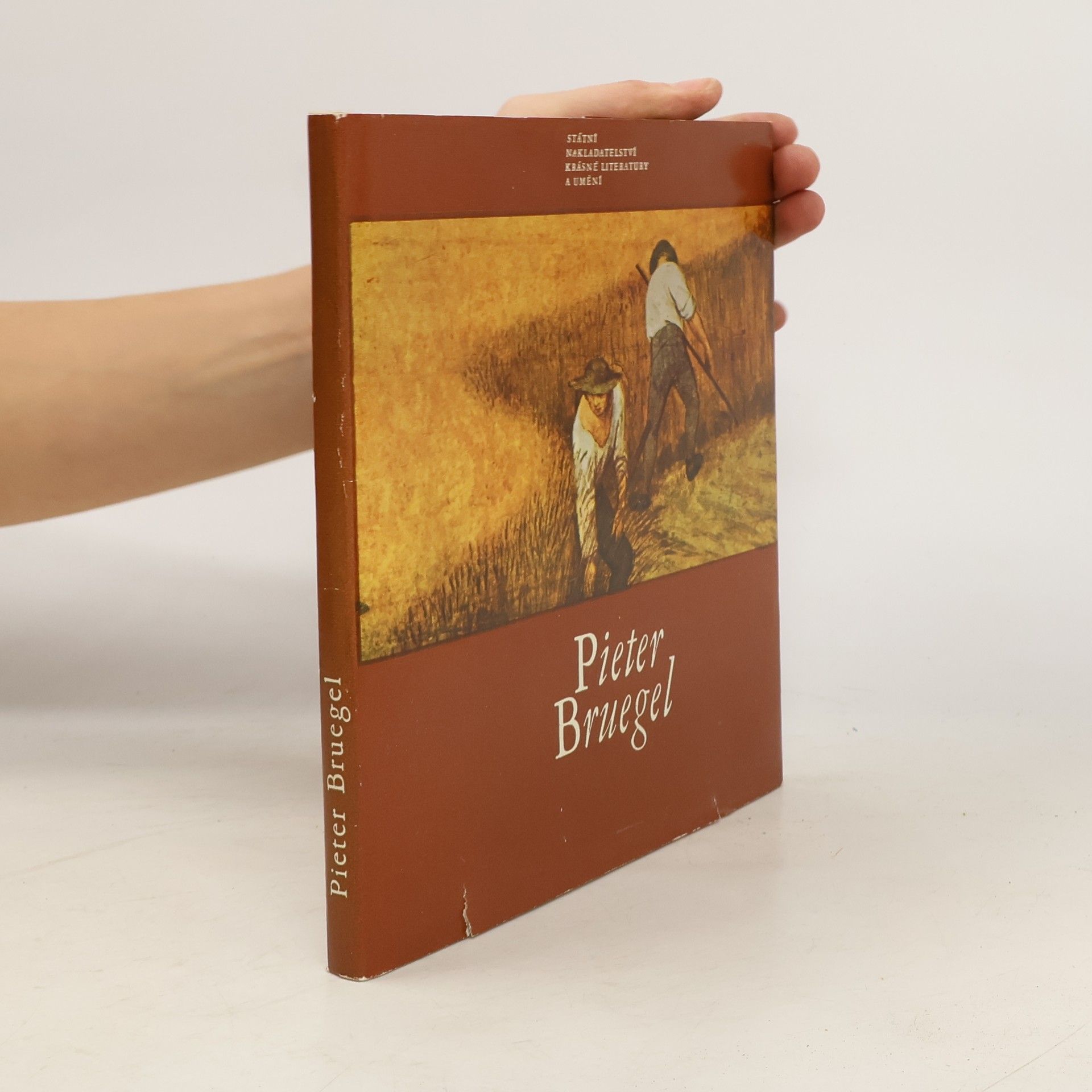Jaromír Neumann Pieter Bruegel