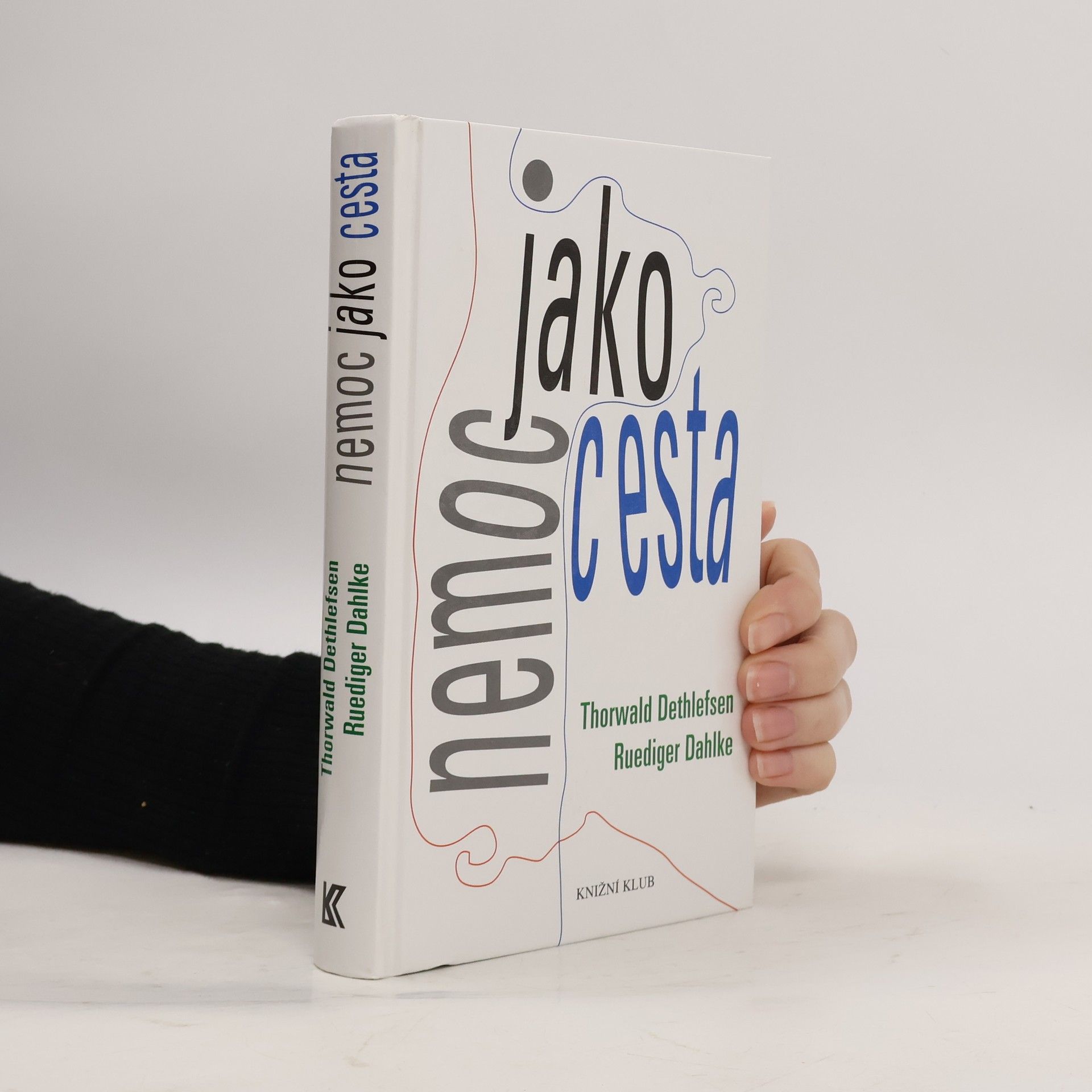 Thorwald Dethlefsen Nemoc jako cesta