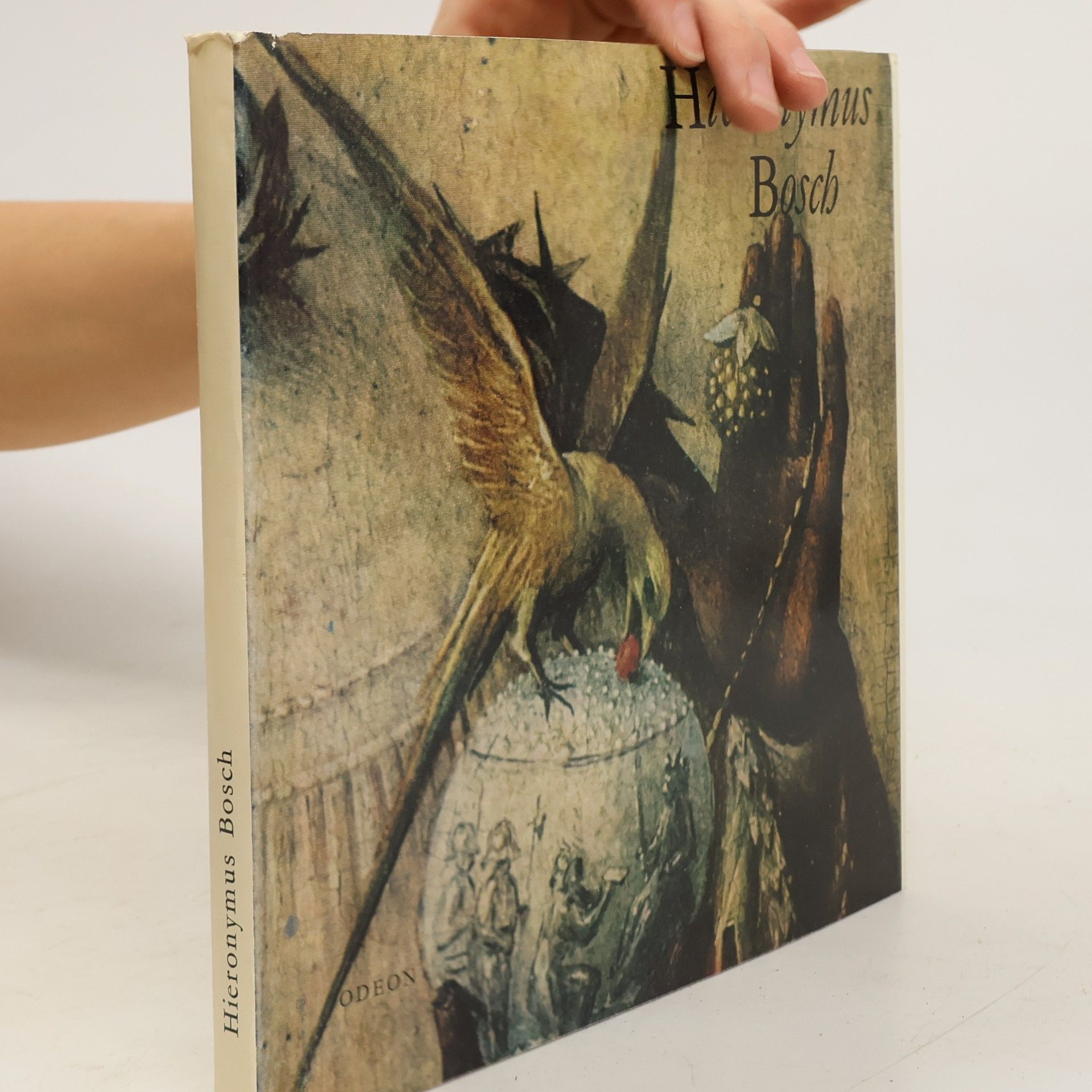 Hana Volavková Hieronymus Bosch