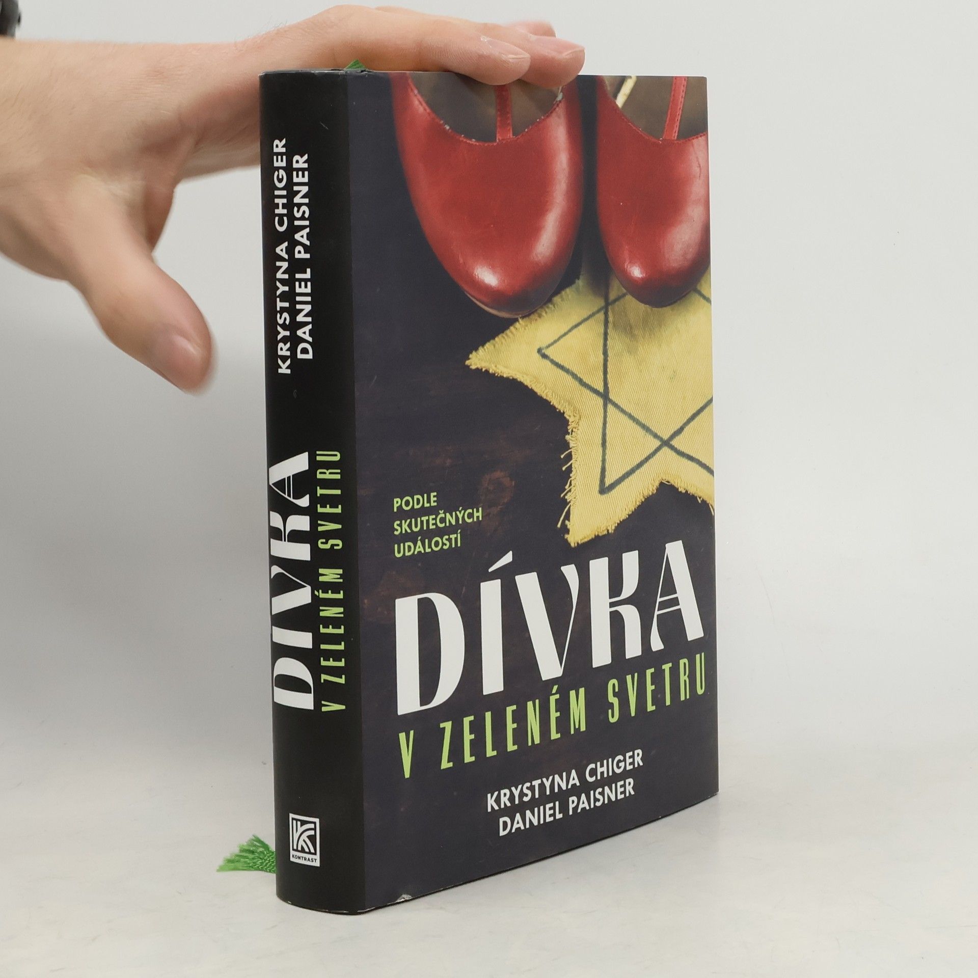 Krystyna Chiger Dívka v zeleném svetru