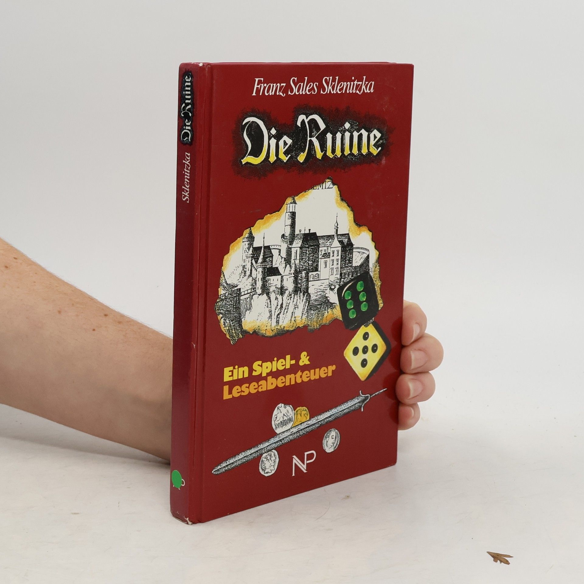 F. S. Sklenitzka Die Ruine