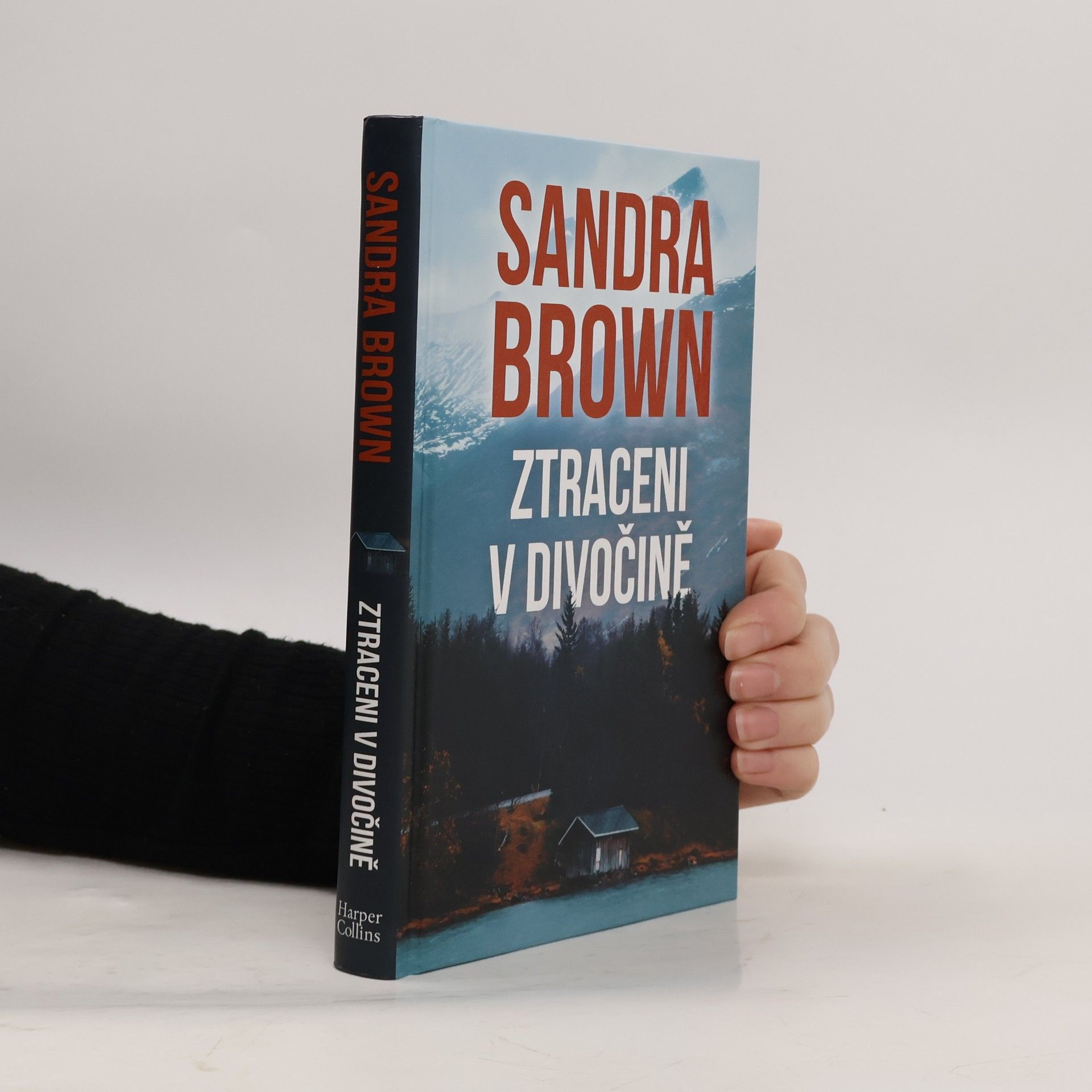 Sandra Brown Ztraceni v divočině