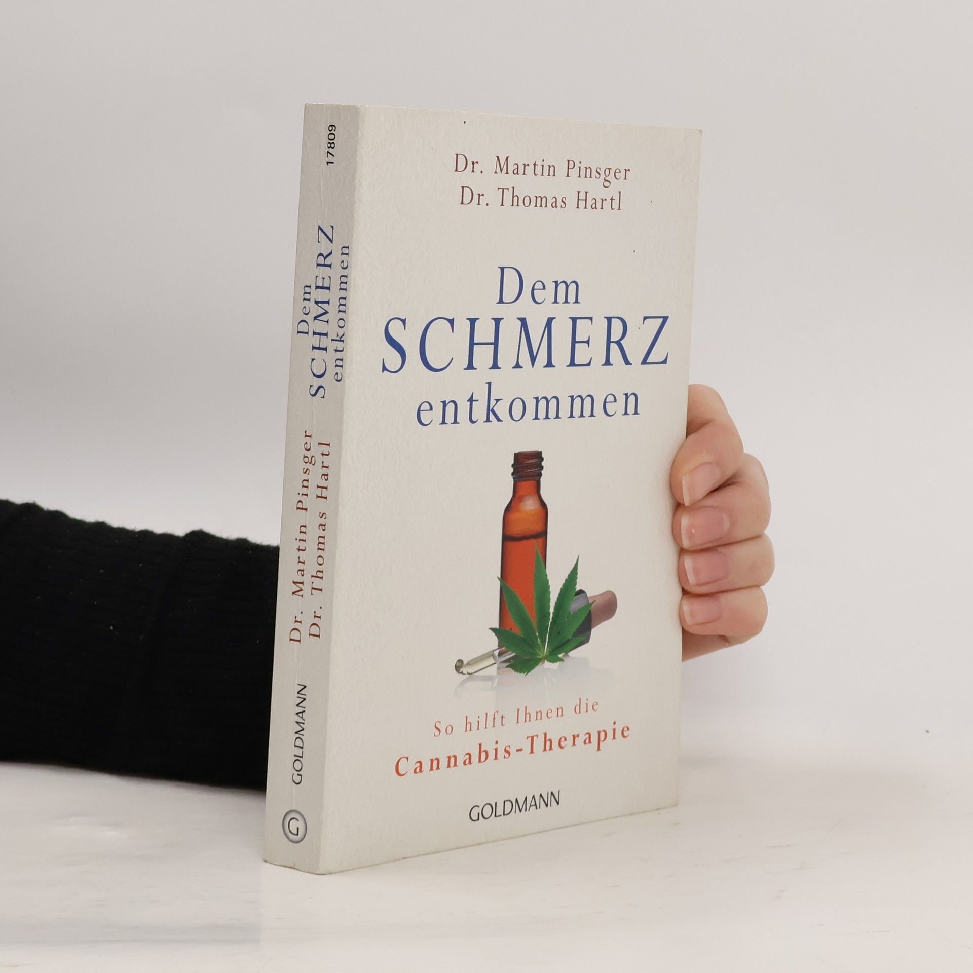 Martin Pinsger Dem Schmerz entkommen