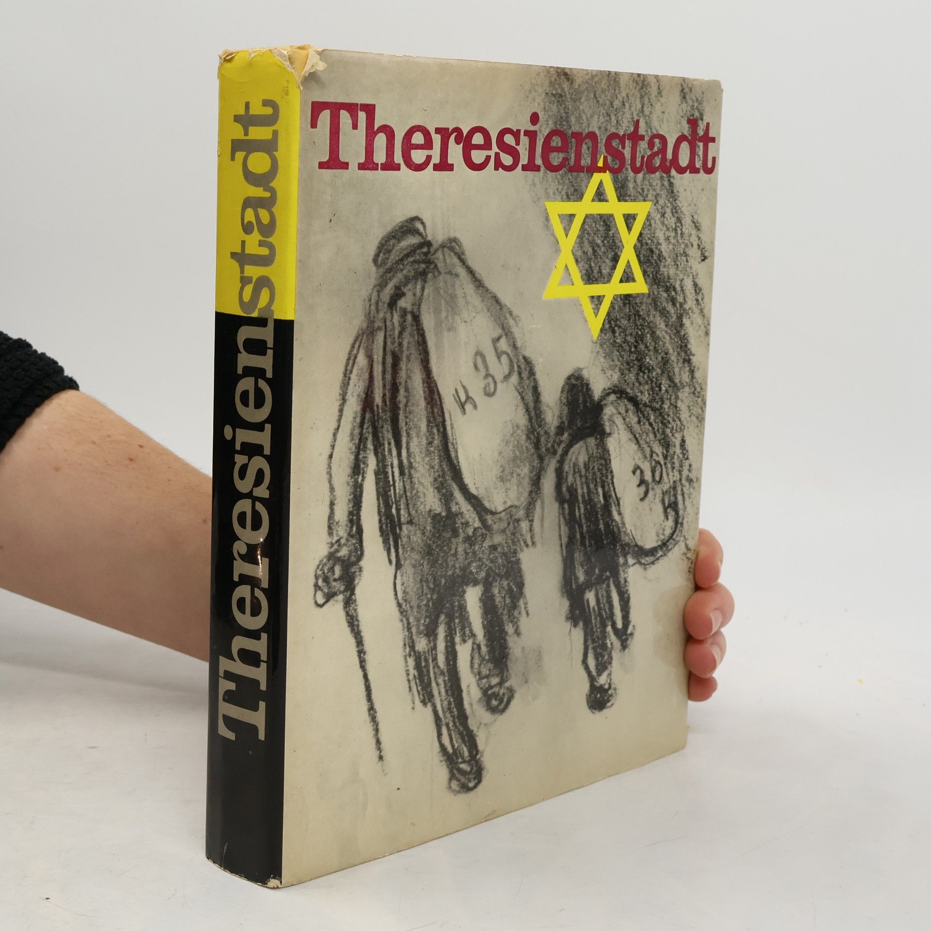 Autorenkollektiv Theresienstadt