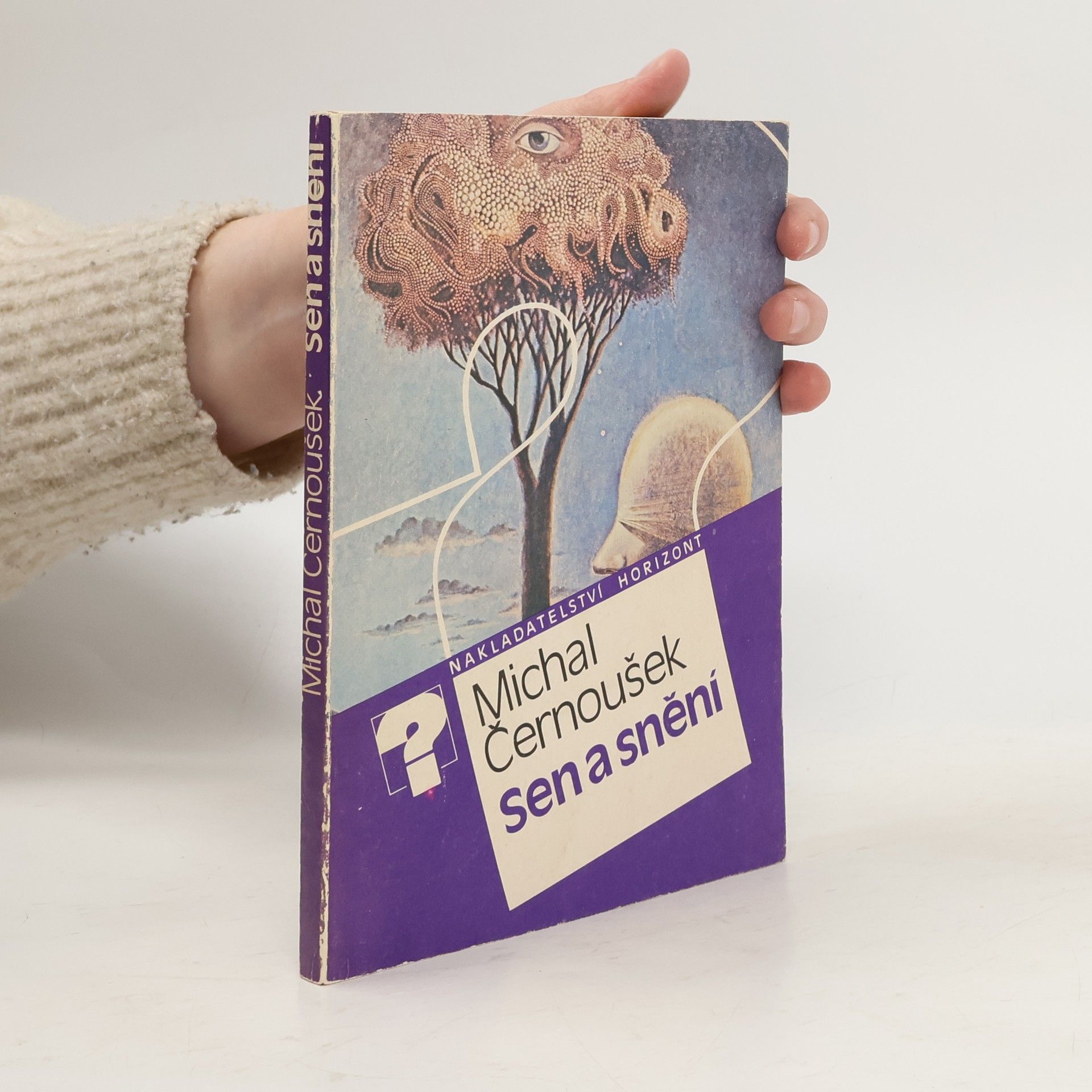 Michal Černoušek Sen a snění