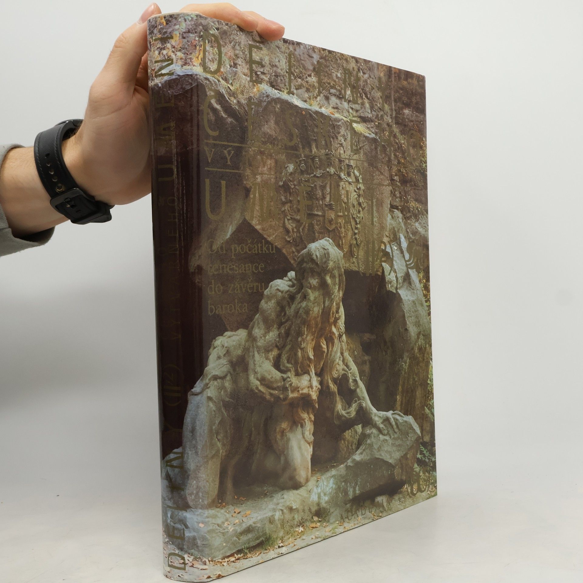 Kolektiv autorů Dějiny českého výtvarného umění II/2. Od počátku renesance do závěru baroka