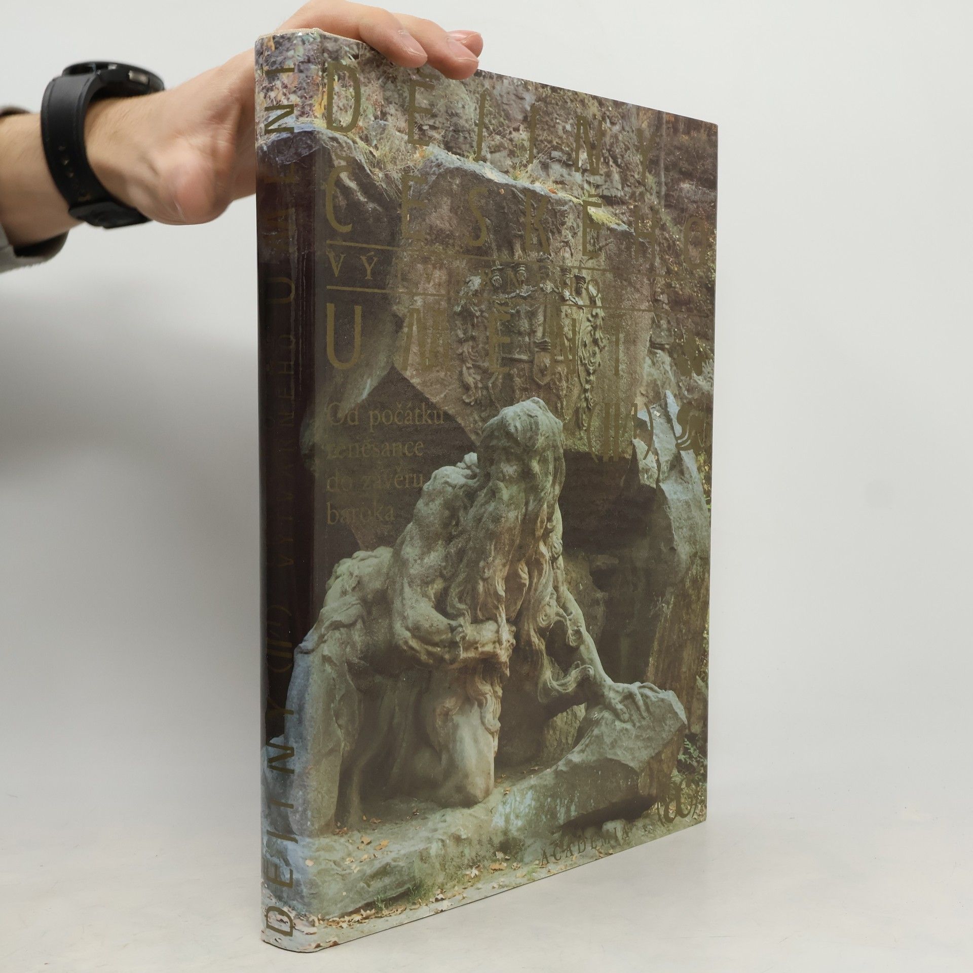 Kolektiv autorů Dějiny českého výtvarného umění II/1