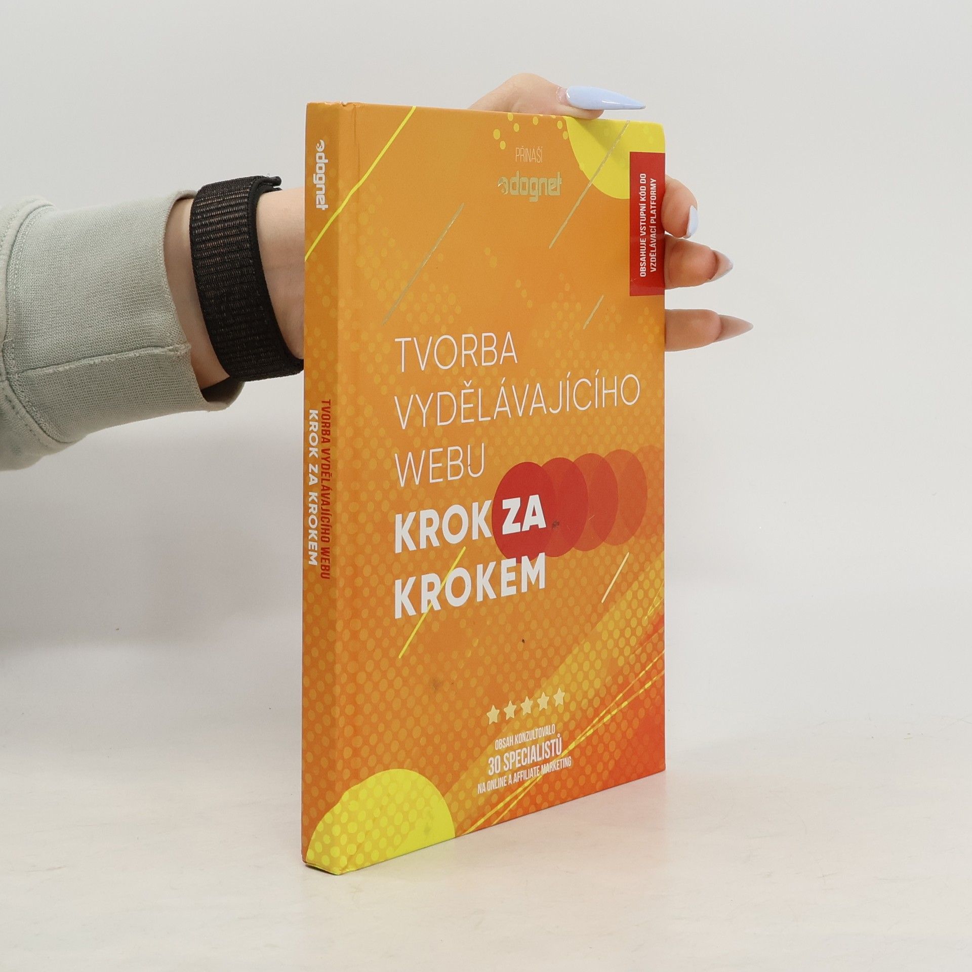 Tvorba vydělávajícího webu : krok za krokem