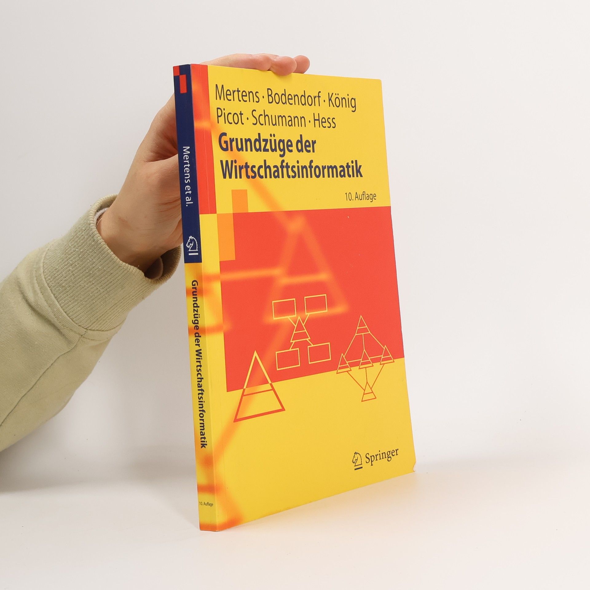 Grundzüge der Wirtschaftsinformatik