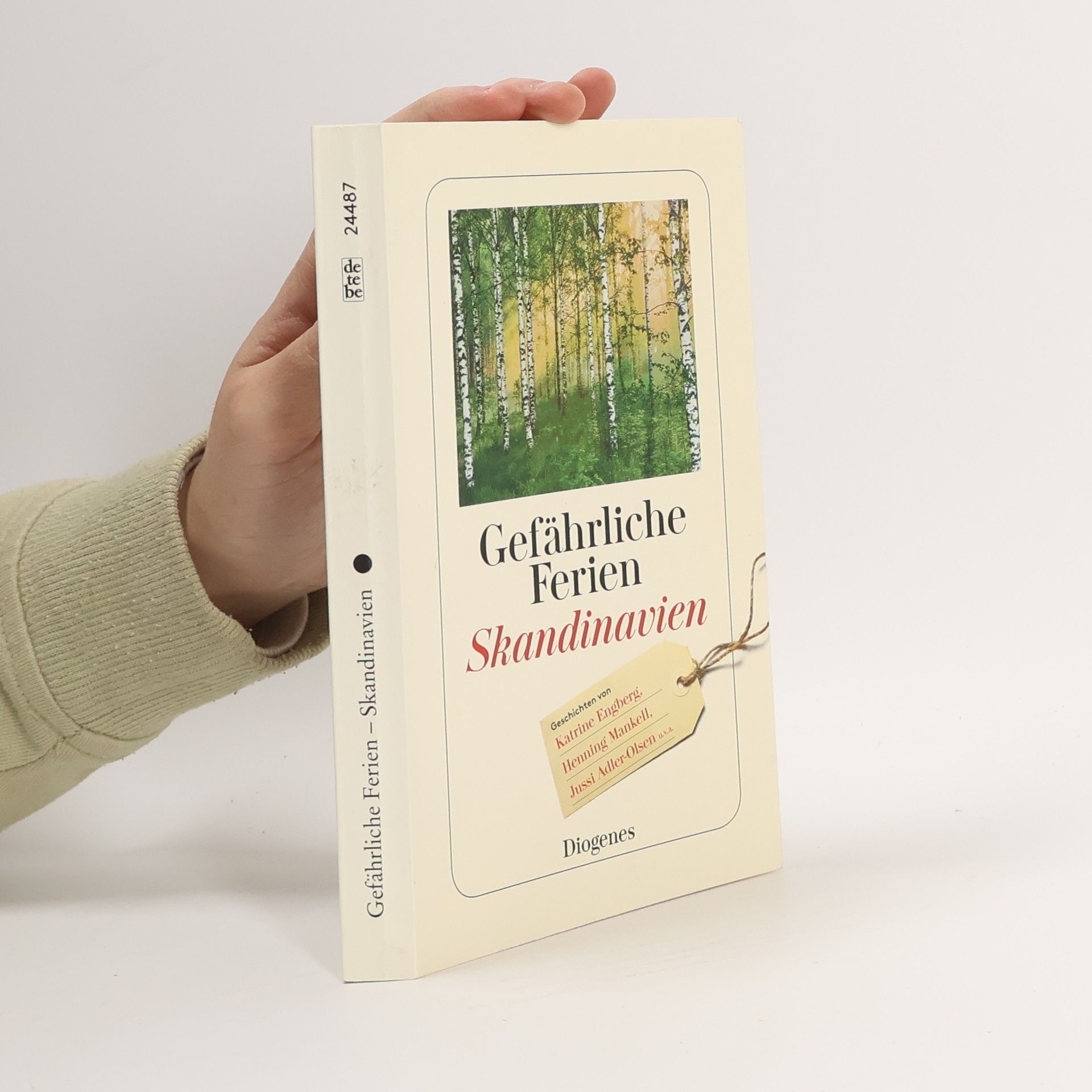 Gefährliche Ferien - Skandinavien