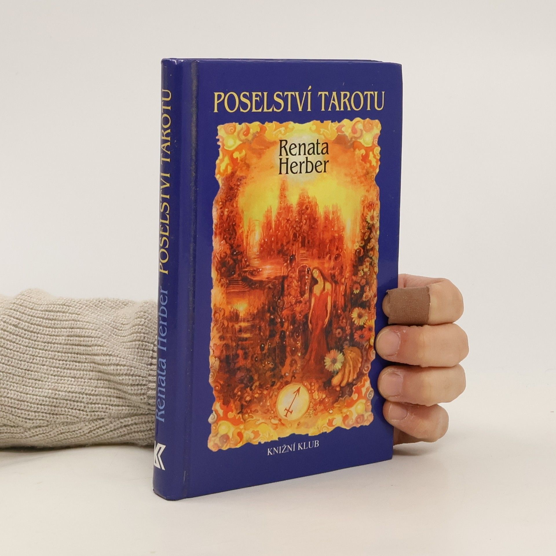 Renata Herber Poselství tarotu (bez karet)