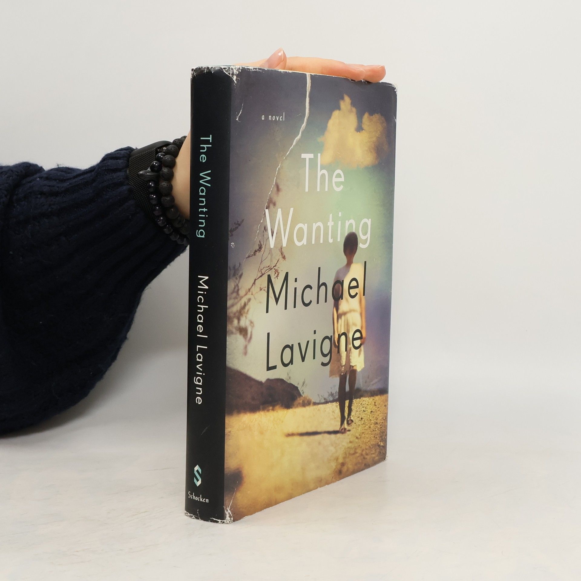 Michael Lavigne Wanting: A Novel, the Hb: A Novel