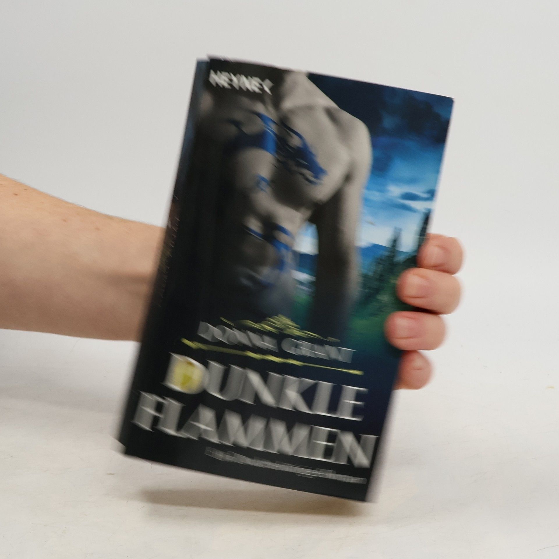 Donna Grant Dunkle Flammen