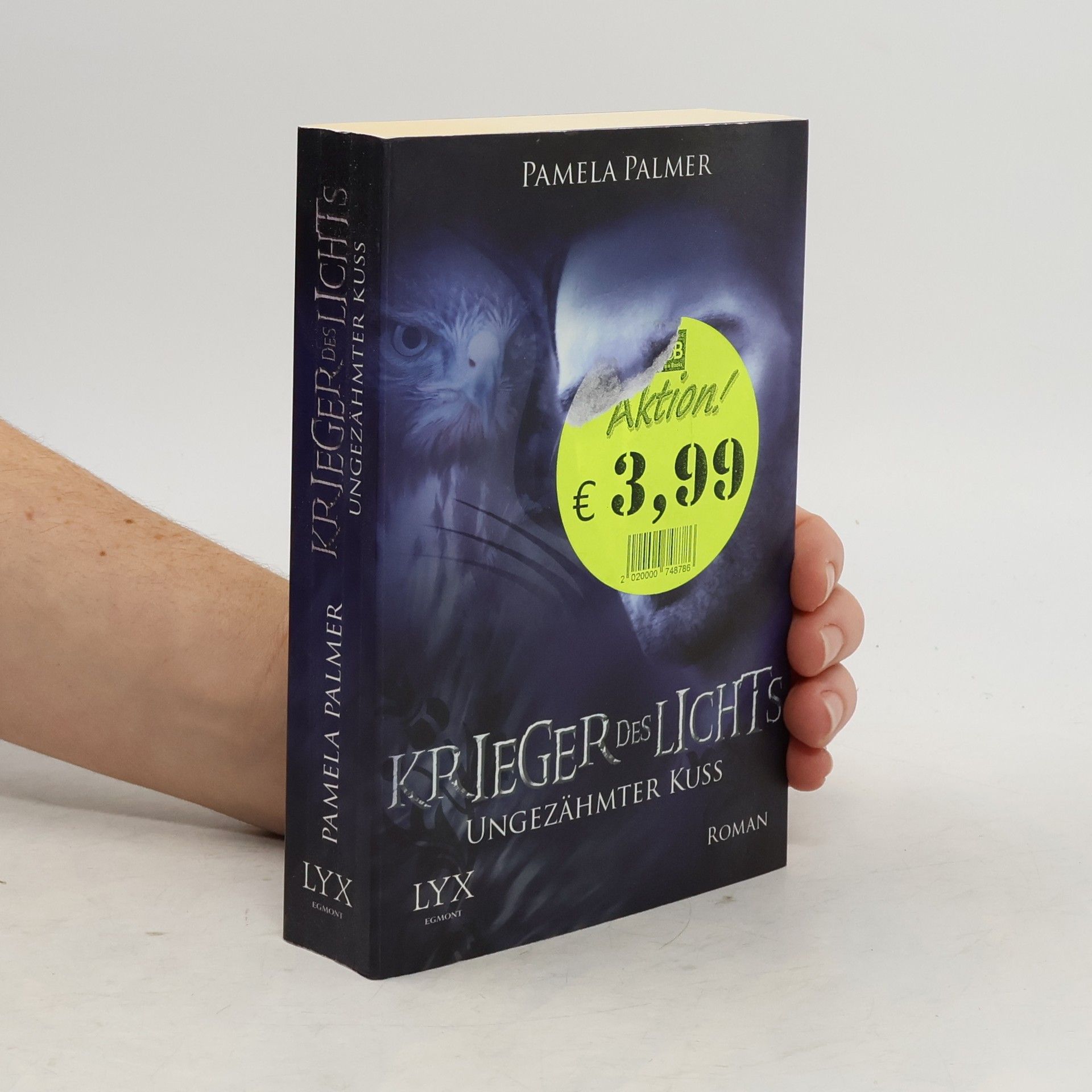 Krieger des Lichts 6