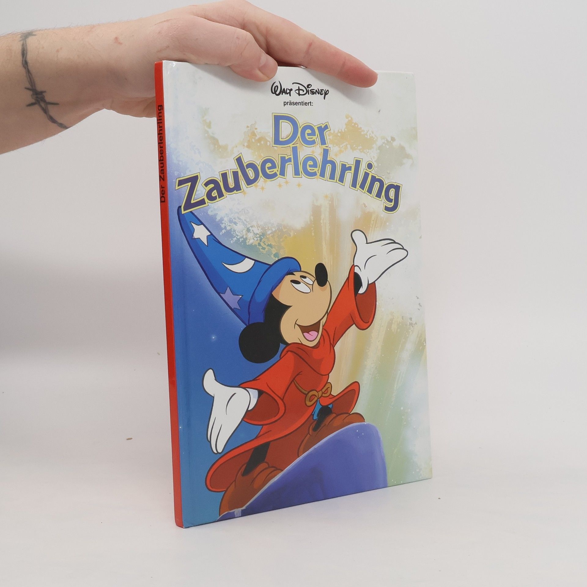 Kolektív autorov Der Zauberlehrling