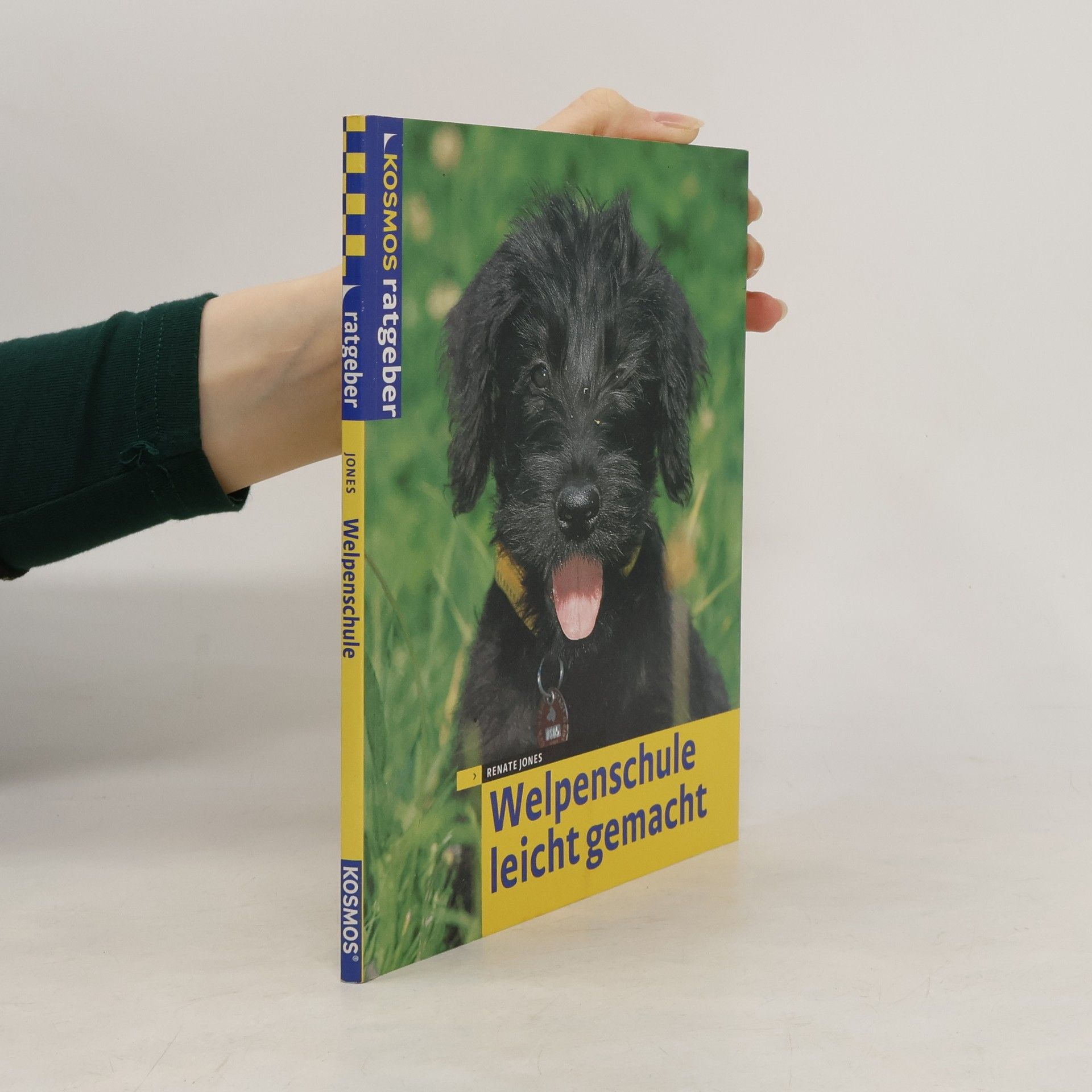 Welpenschule leichtgemacht