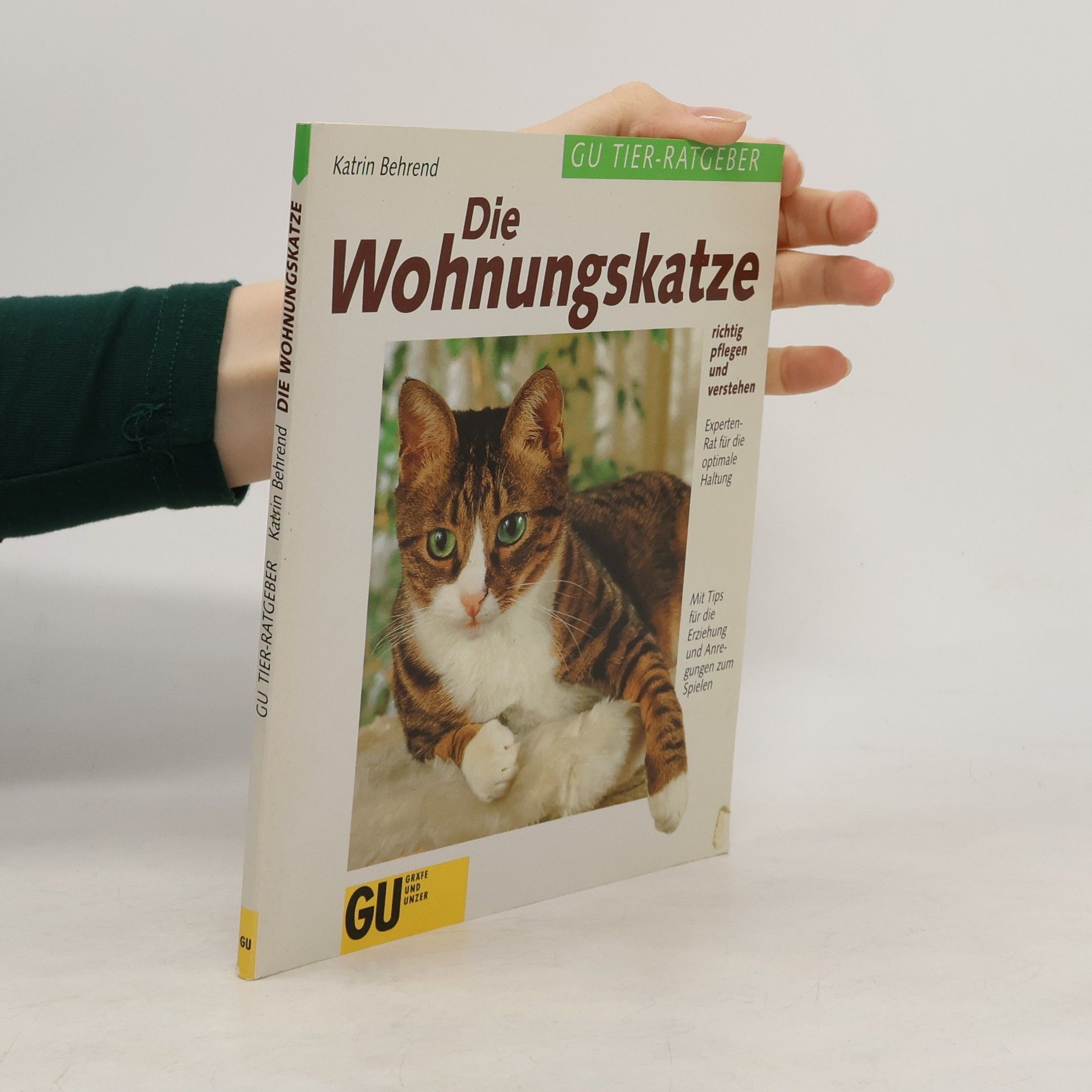 Die Wohnungskatze richtig pflegen und verstehen