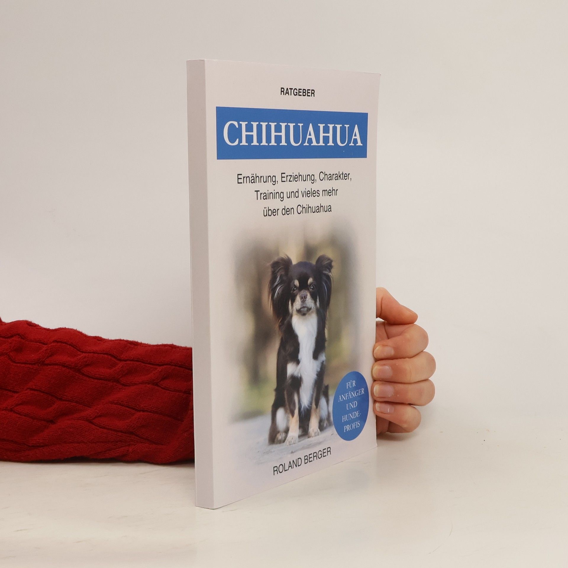 Roland Berger Chihuahua