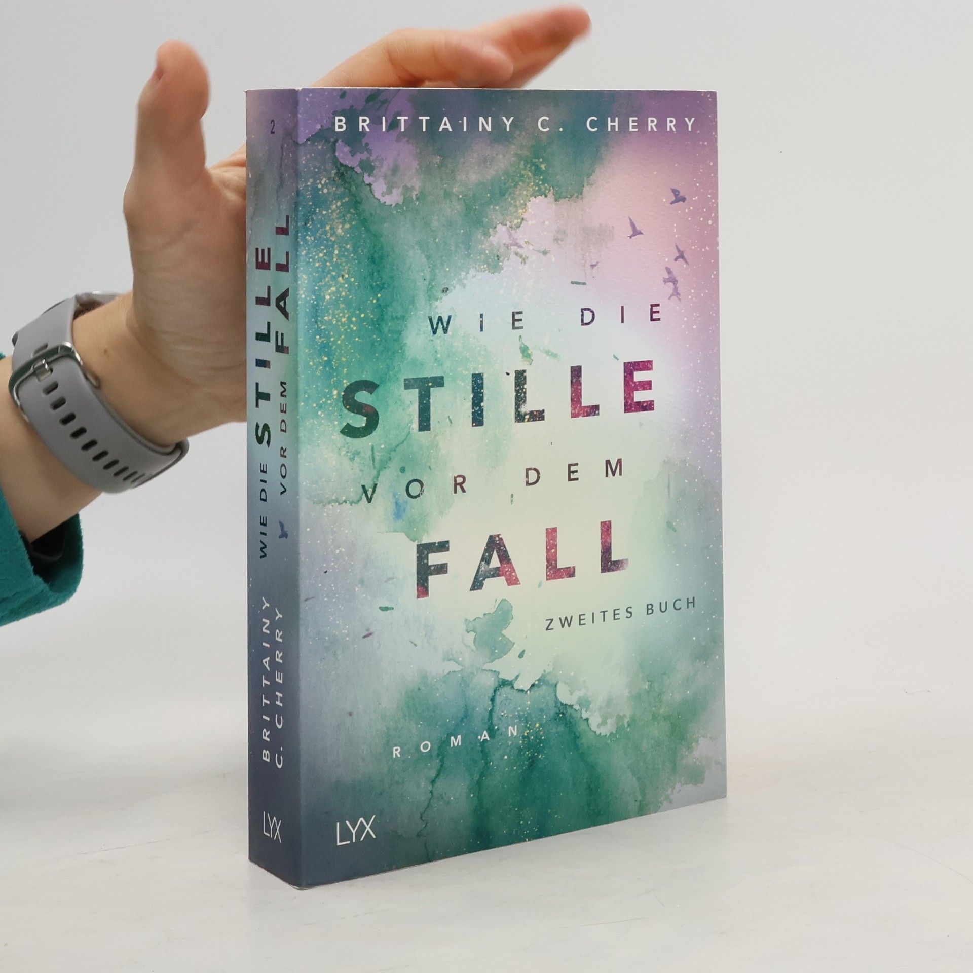 Brittainy C. Cherry Wie die Stille vor dem Fall 2