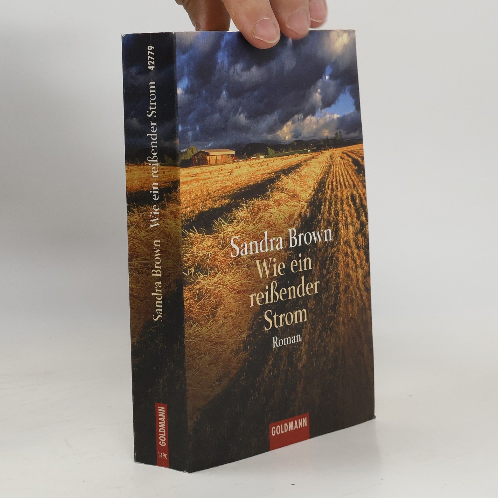 Sandra Brown Wie ein reißender Strom