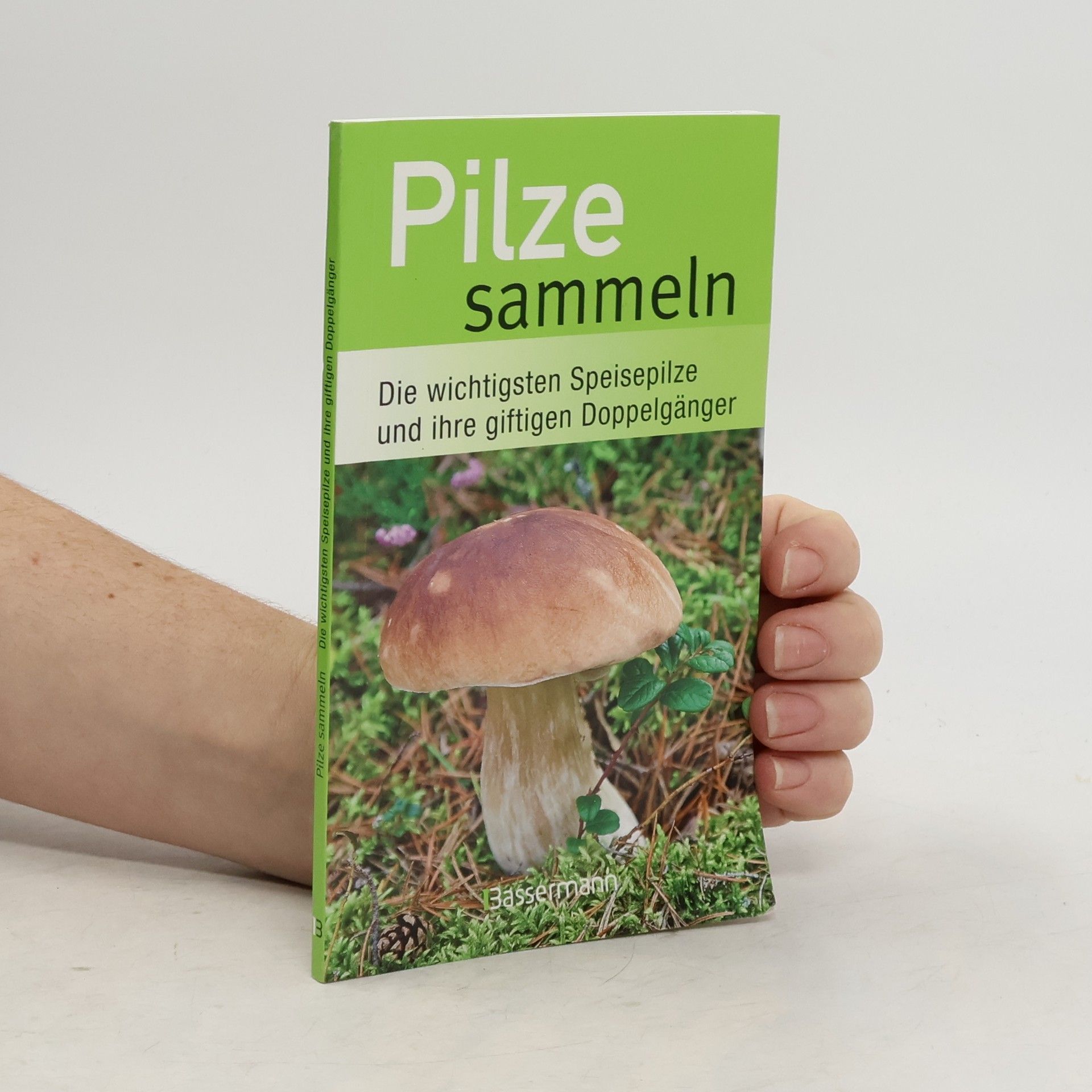 Christoph Hahn Pilze sammeln