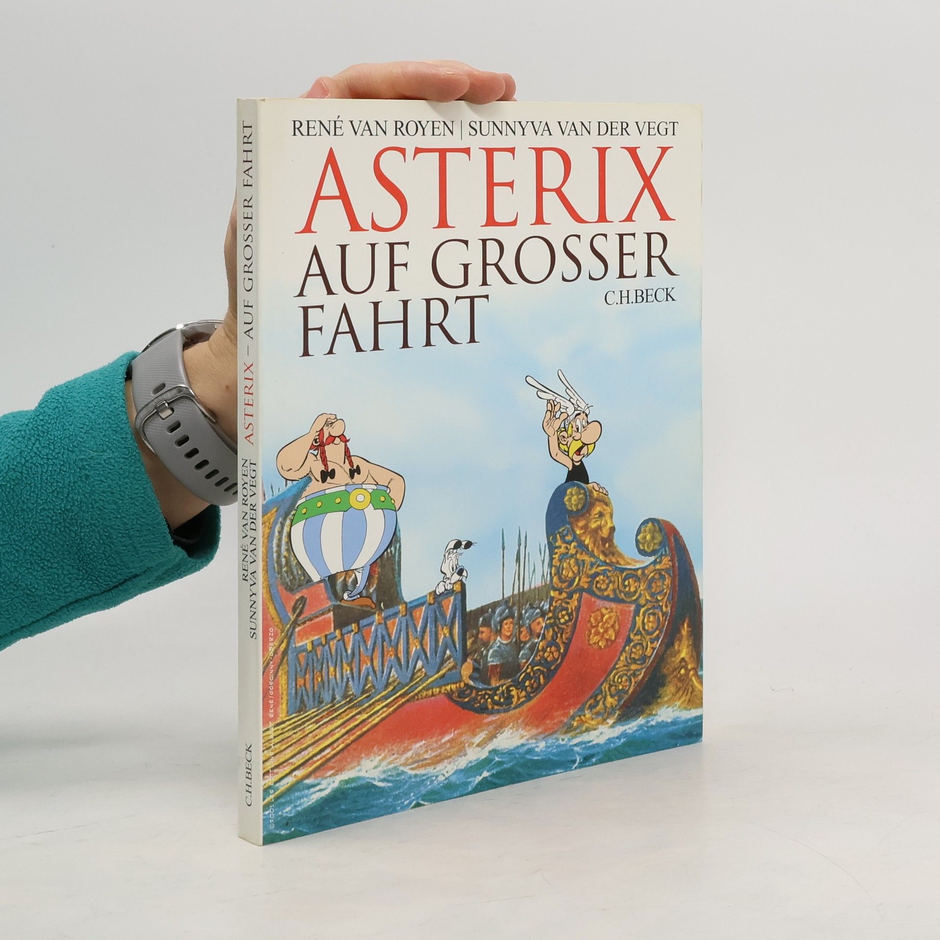 Asterix auf großer Fahrt