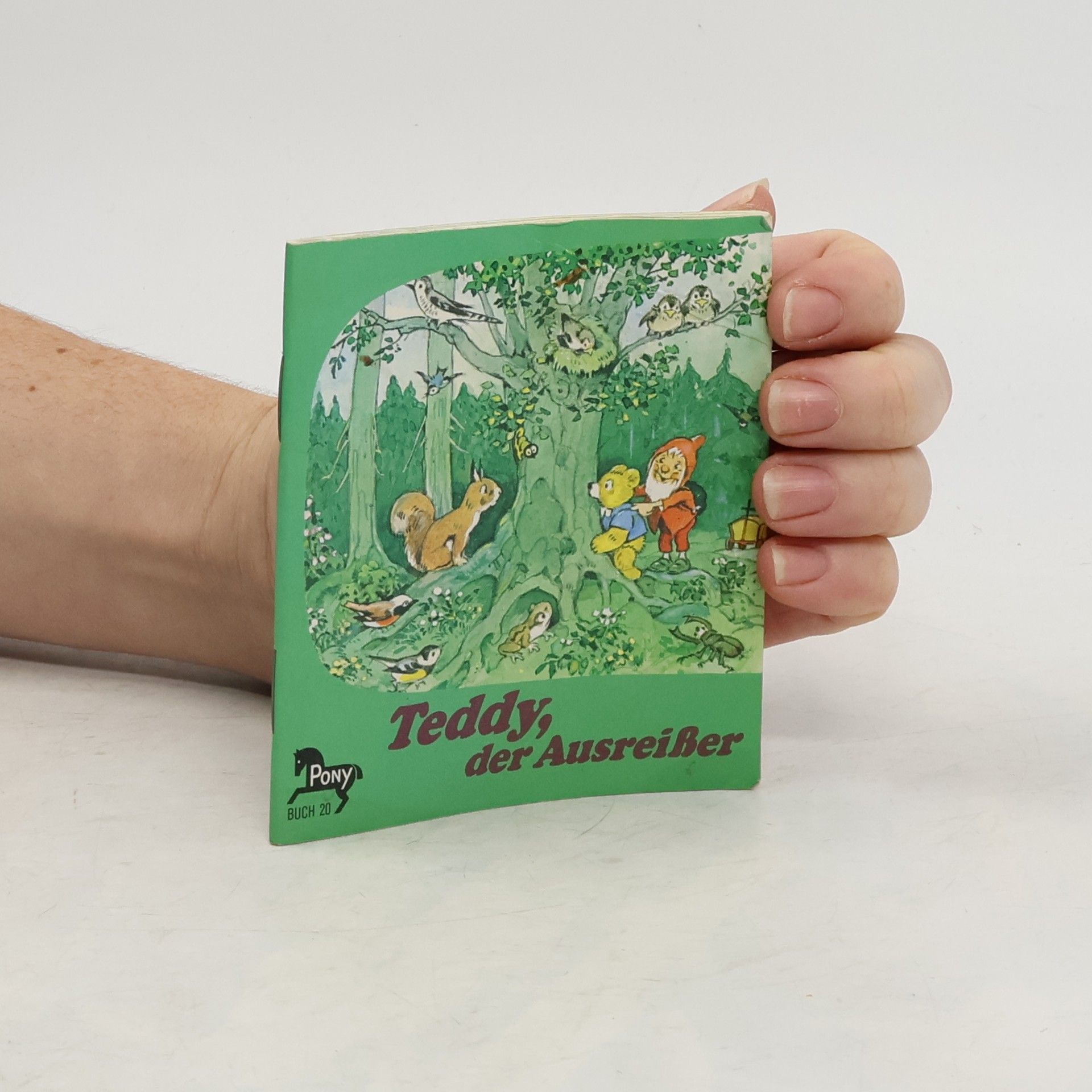 Teddy, der Ausreisser