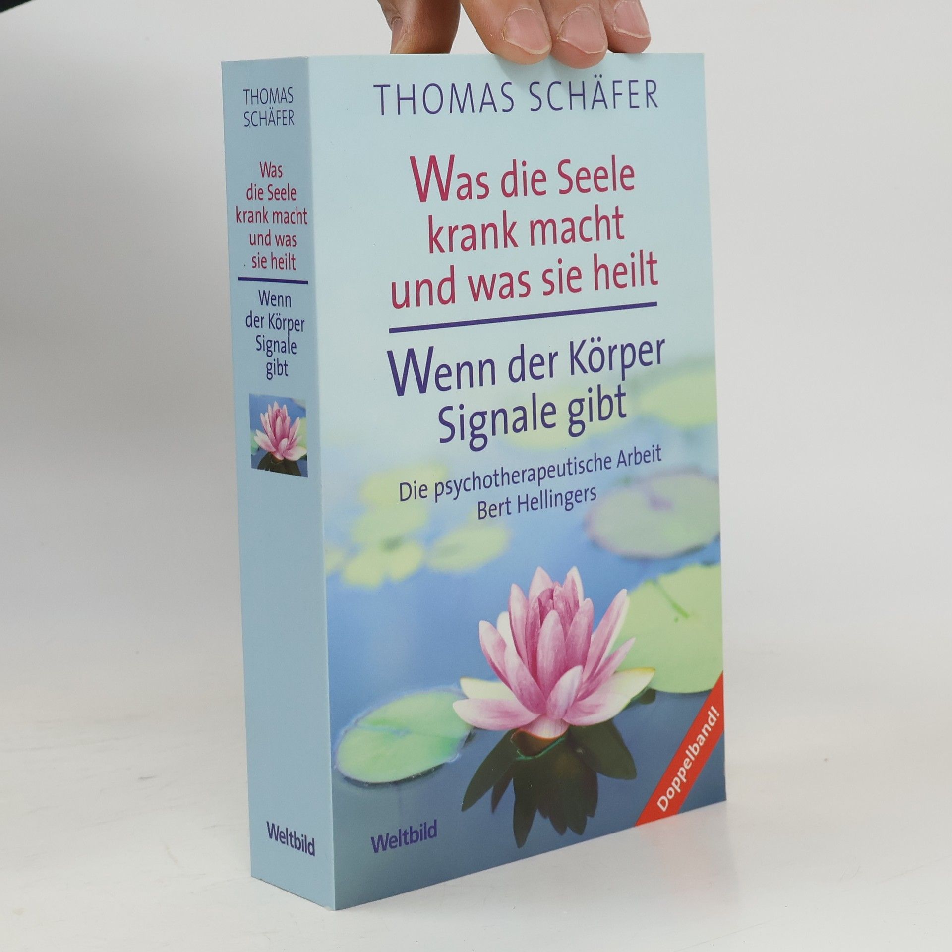 Was die Seele krank macht und was sie heilt