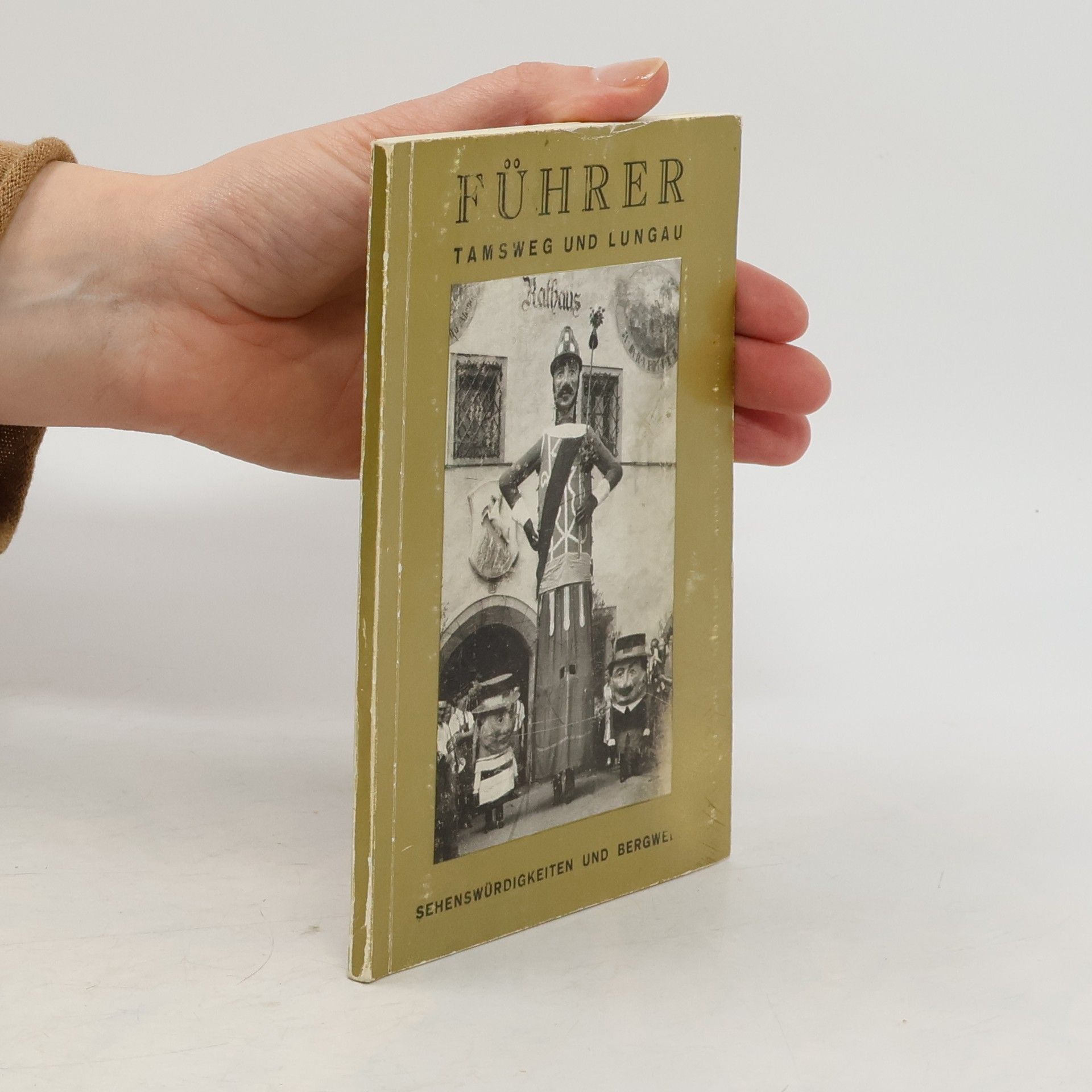 Collectif d'auteurs Führer Tamsweg und Lungau