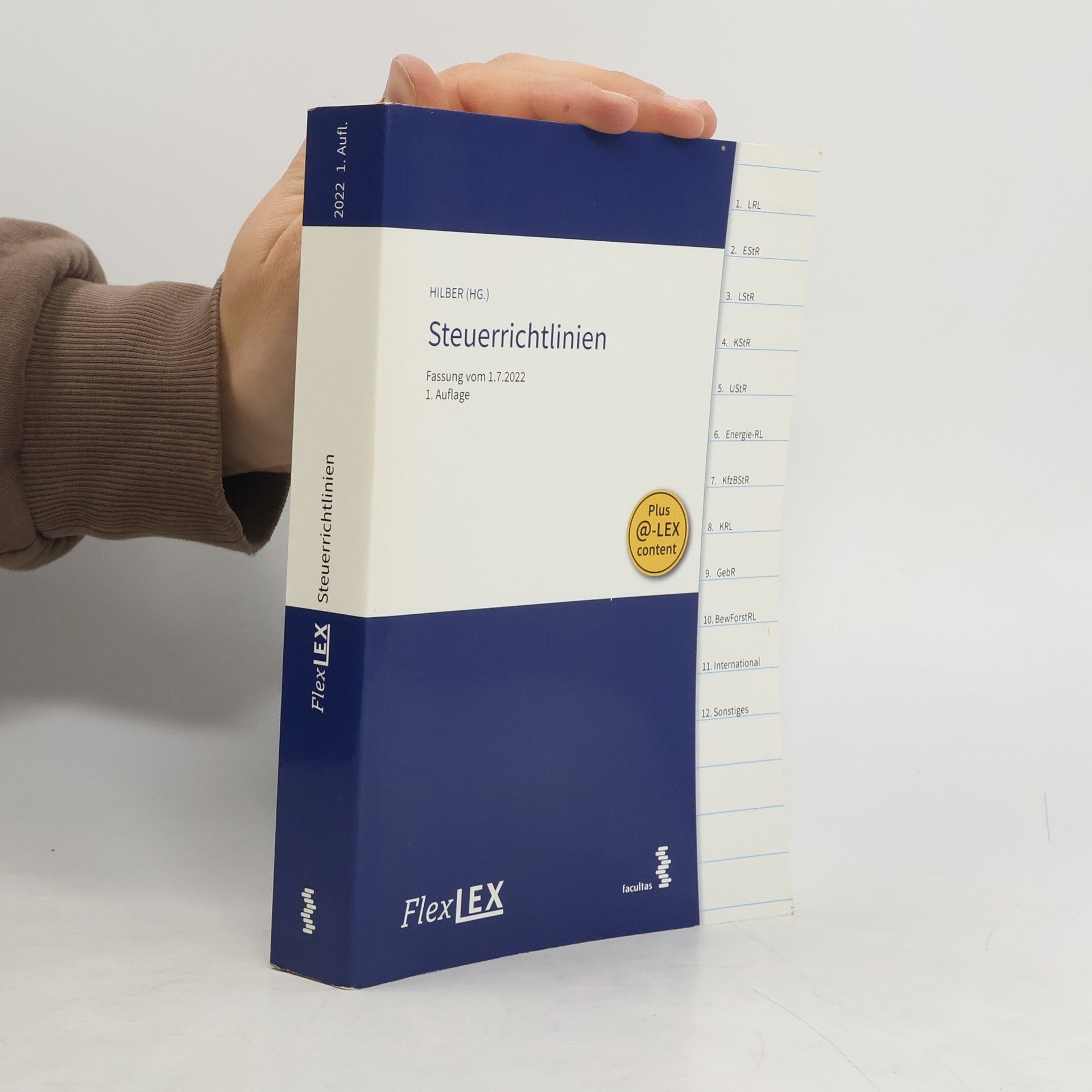 Klaus Hilber FlexLex Steuerrichtlinien