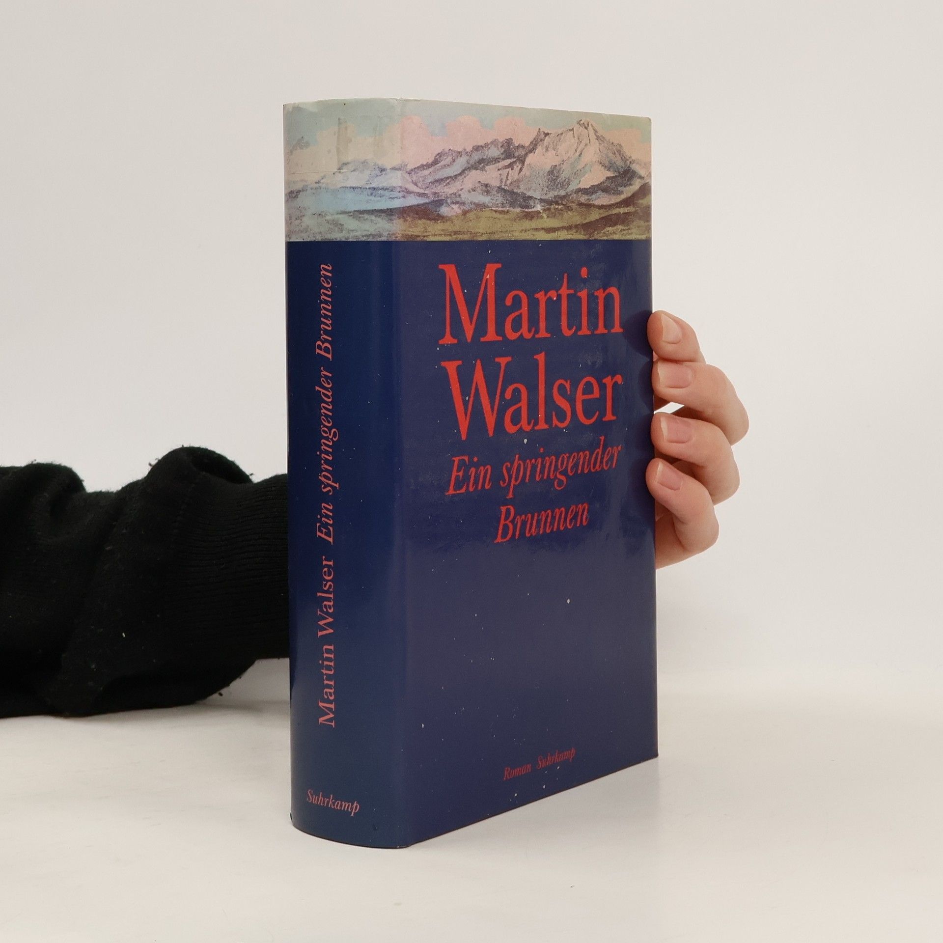 Martin Walser Ein springender Brunnen