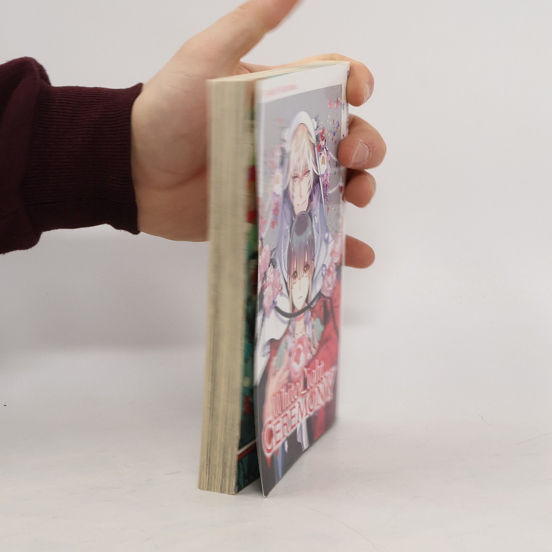 Shinobu Takayama White light ceremony 1