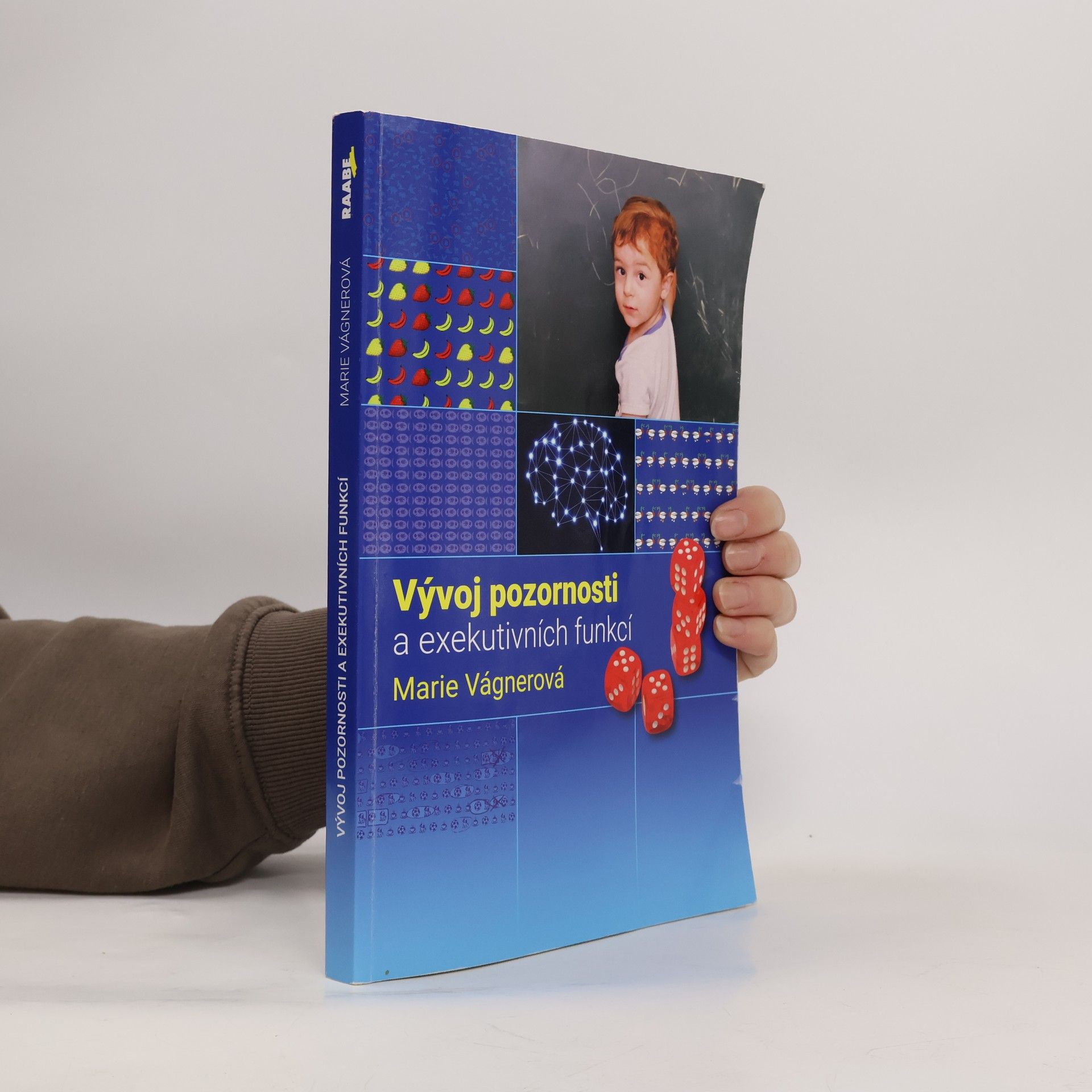 Vývoj pozornosti a exekutivních funkcí