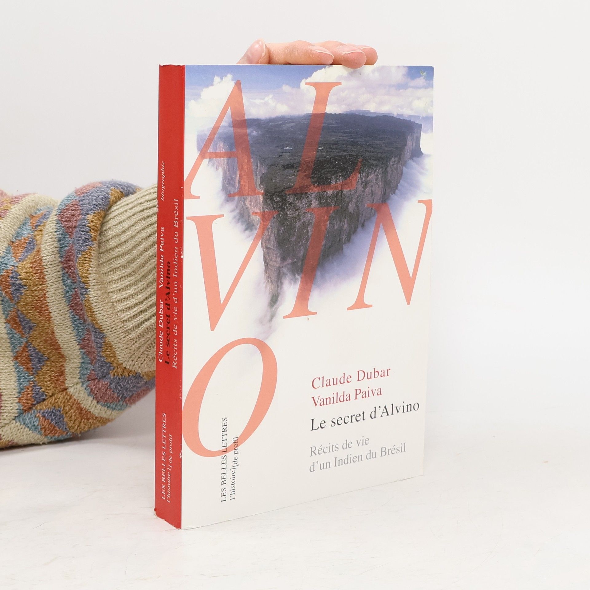 L'Histoire de profil: Le secret d'Alvino