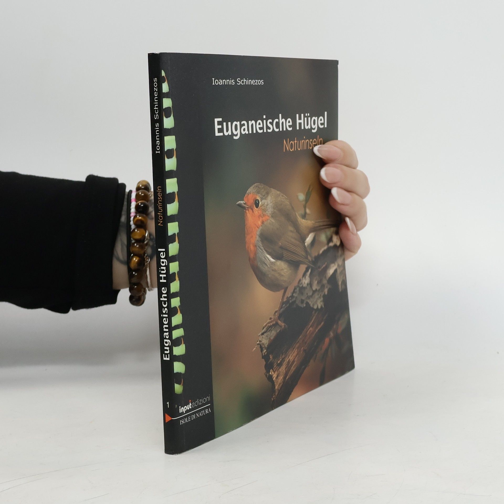 Ioannis Schinezos Euganeische Hügel