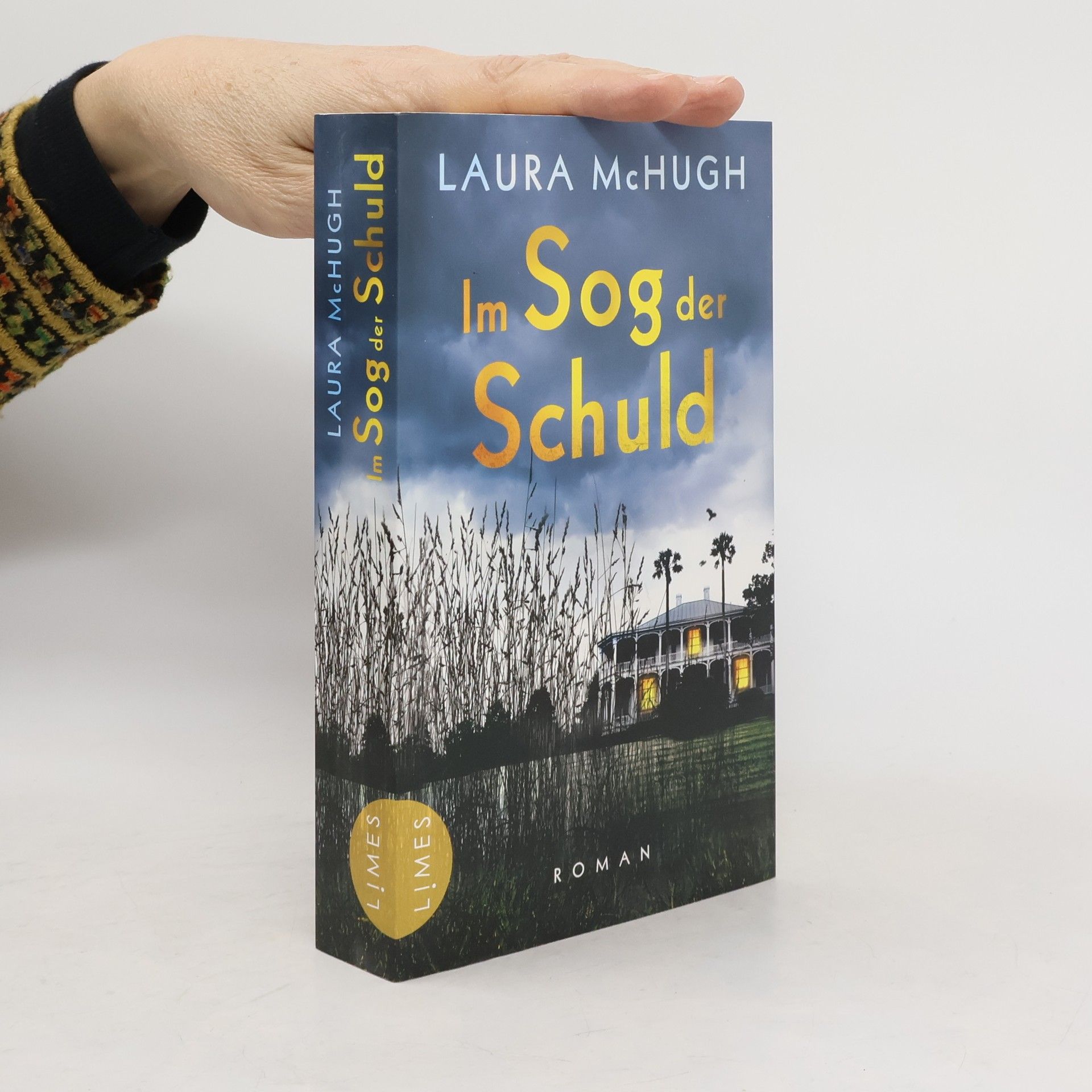 Laura McHugh Im Sog der Schuld