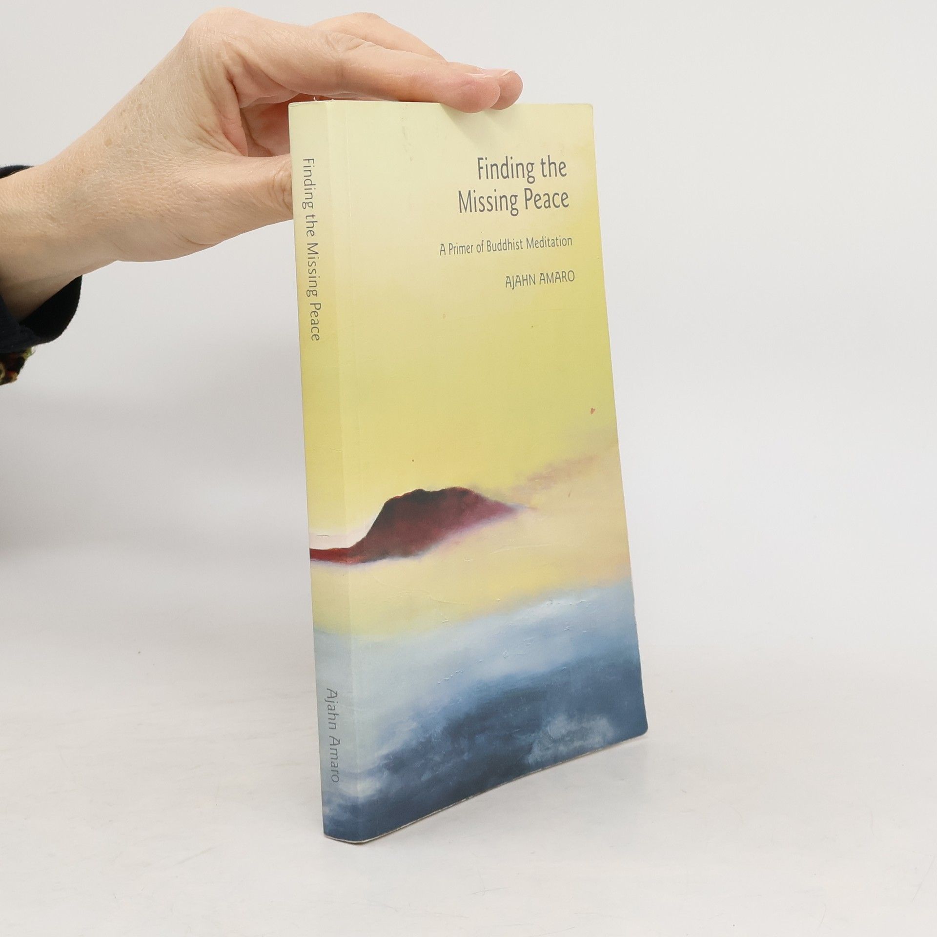 Ajahn Amaro Finding the Missing Peace