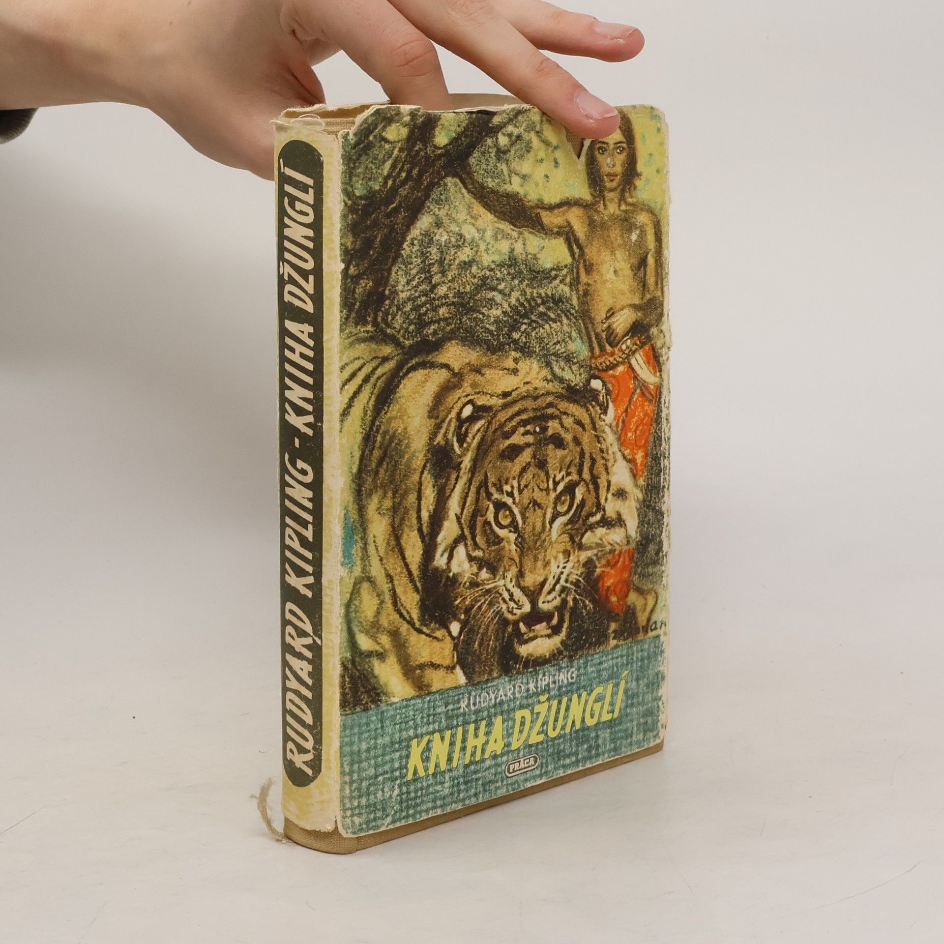 Rudyard Kipling Kniha džunglí I-II