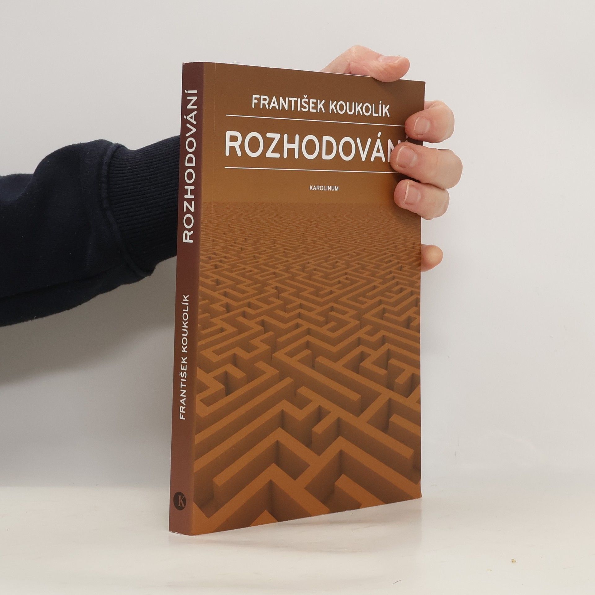 František Koukolík Rozhodování