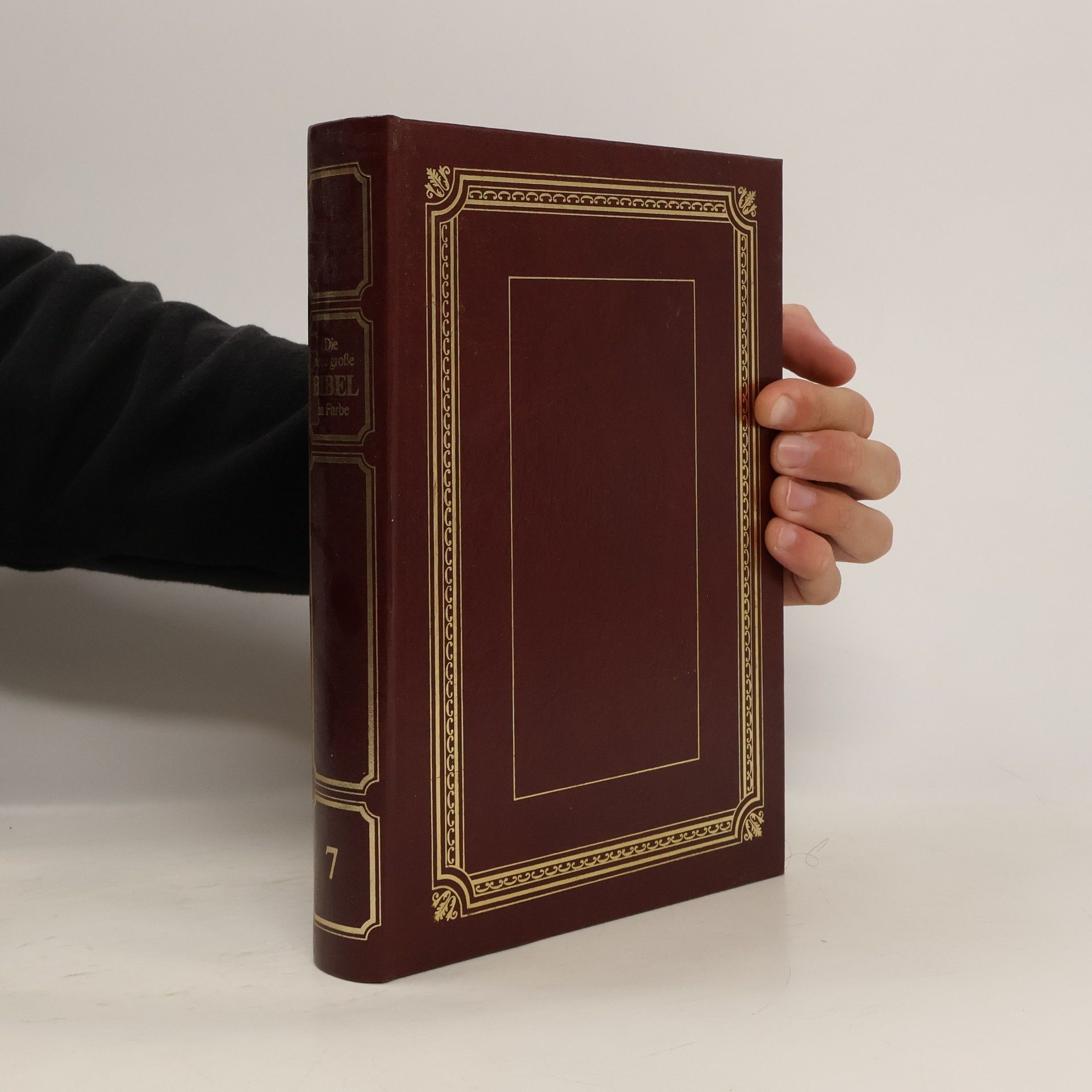 Mirjam Prager Die neue große Bibel in Farbe. Bd. 7