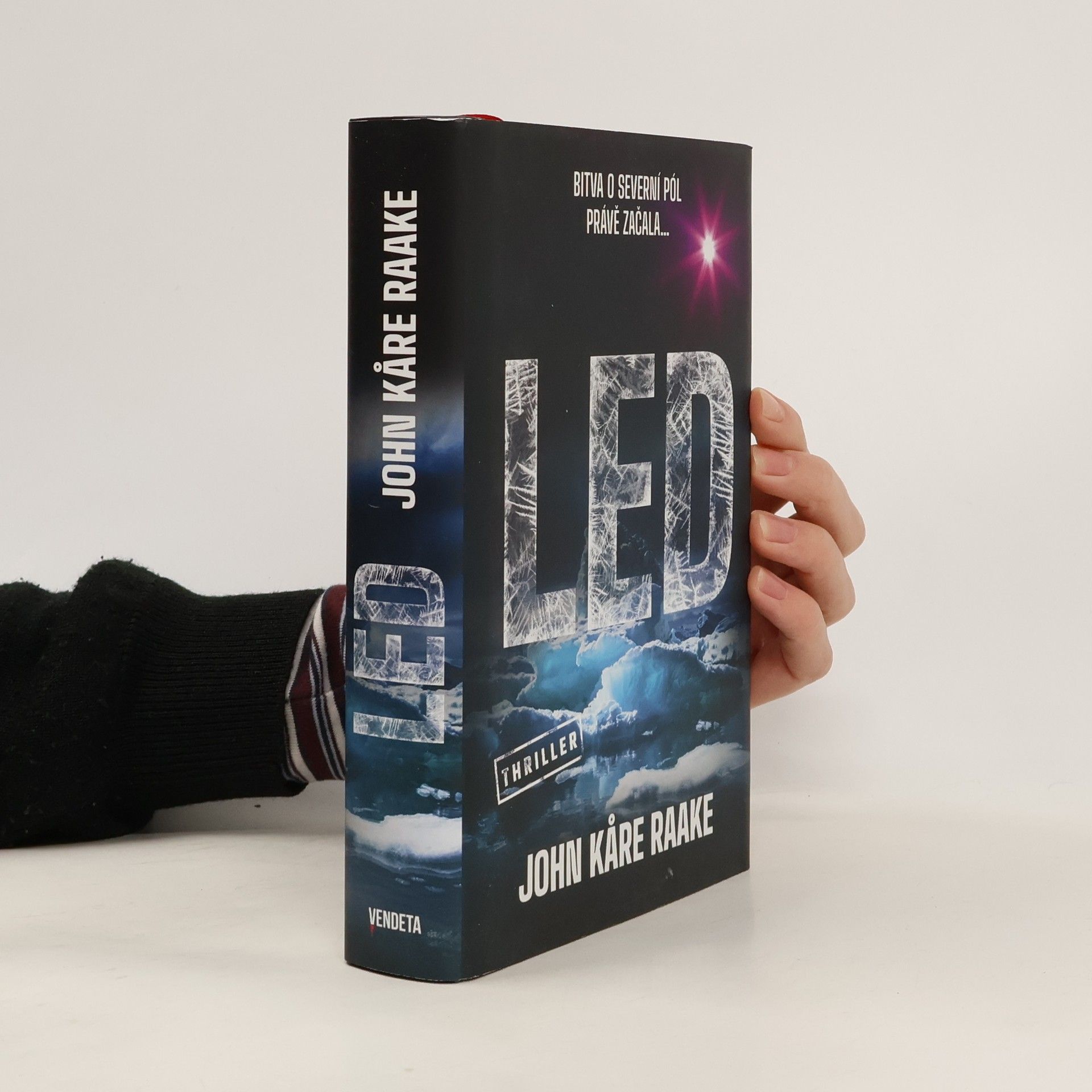 John Kåre Raake Led