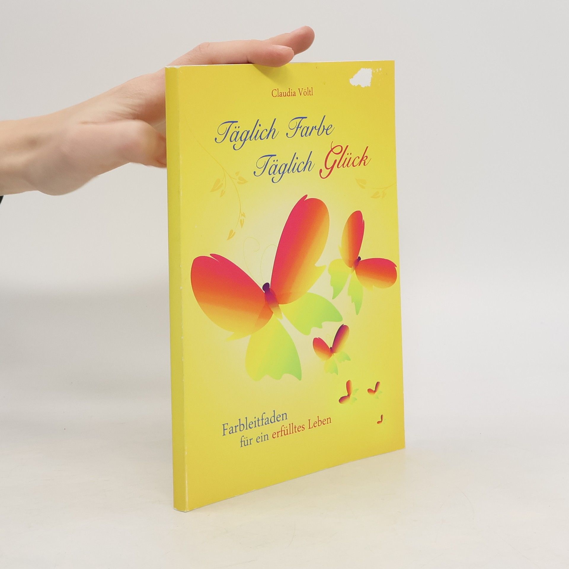 Claudia Völtl Täglich Farbe Täglich Glück