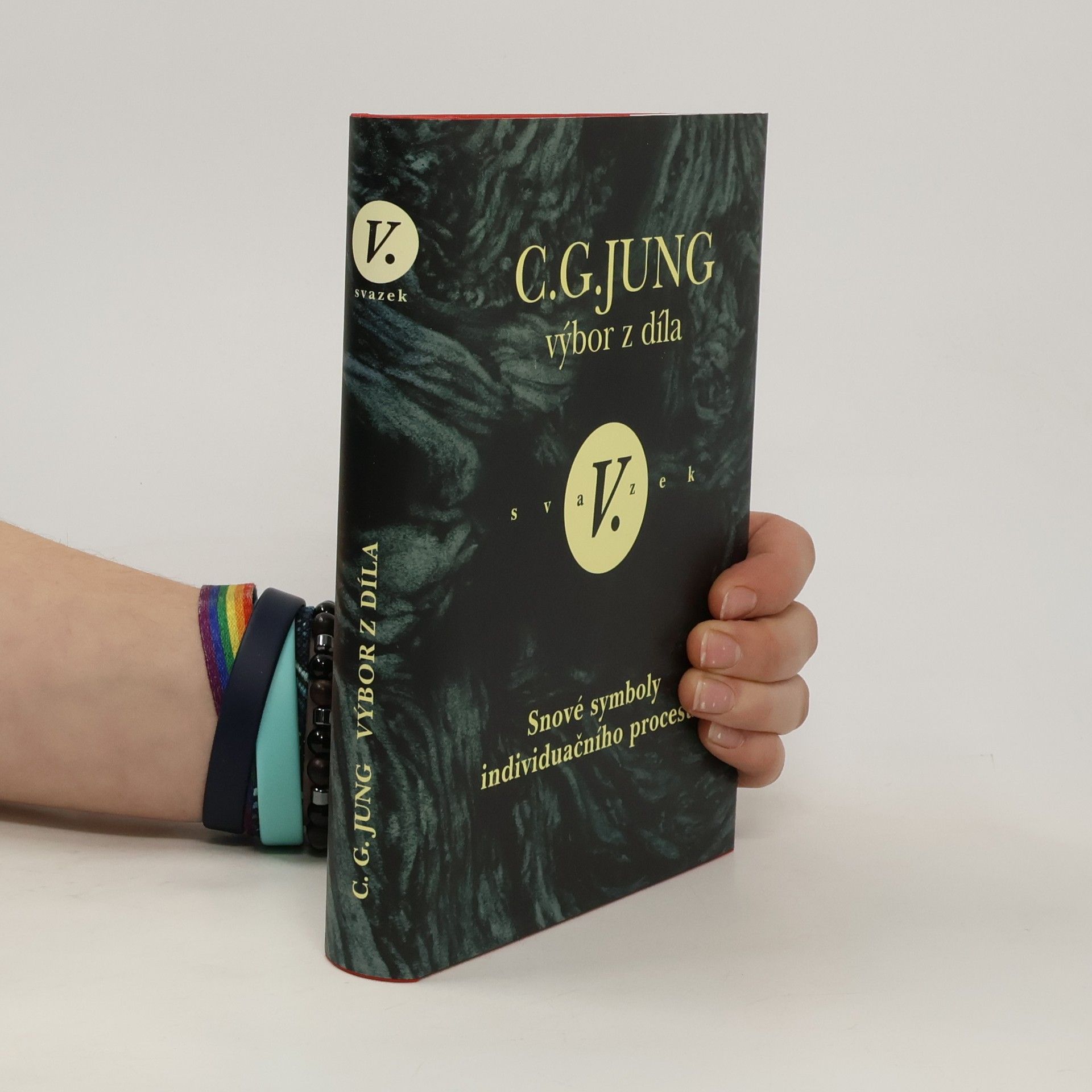 Carl Gustav Jung Výbor z díla V.