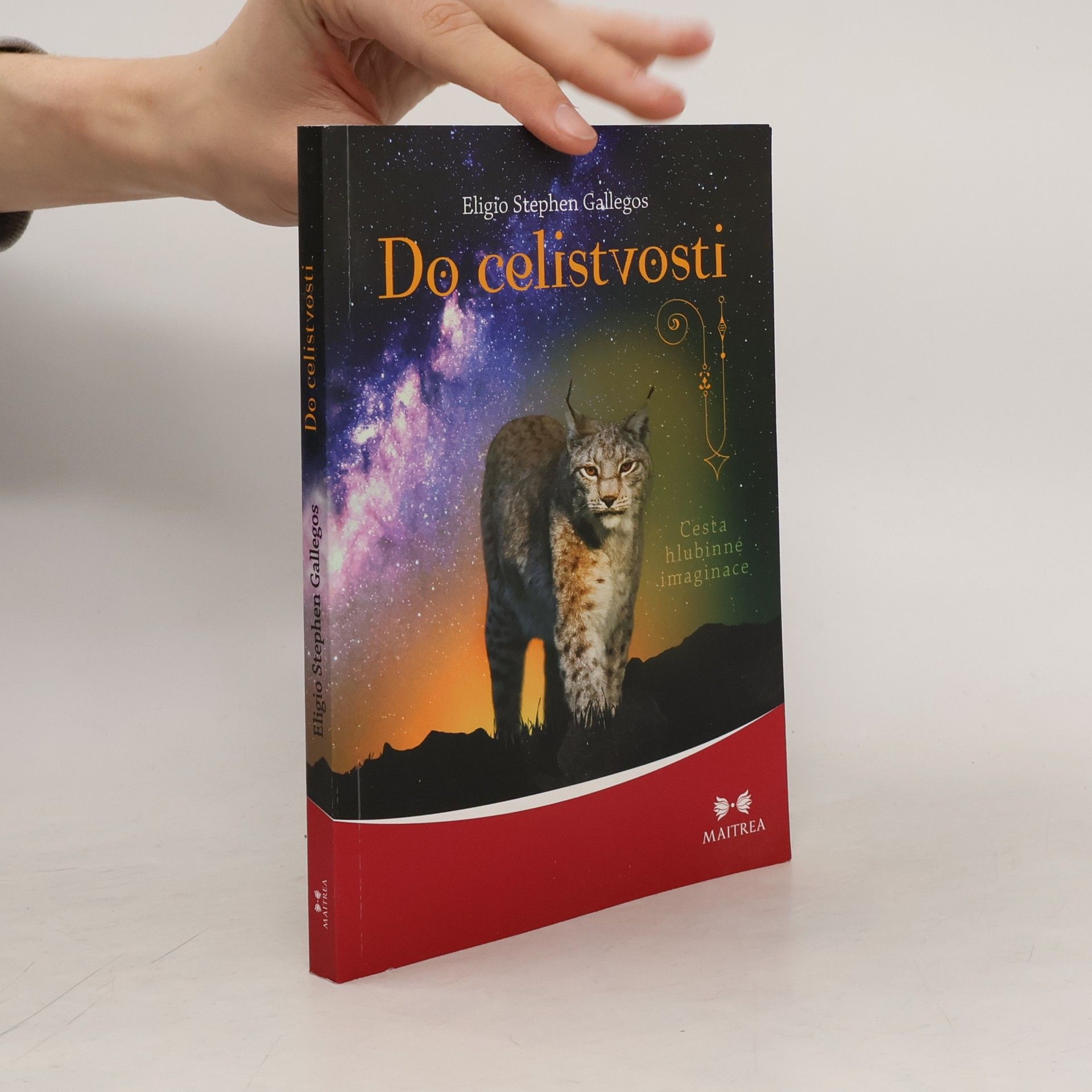 Eligio Stephen Gallegos Do celistvosti: Cesta hlubinné imaginace