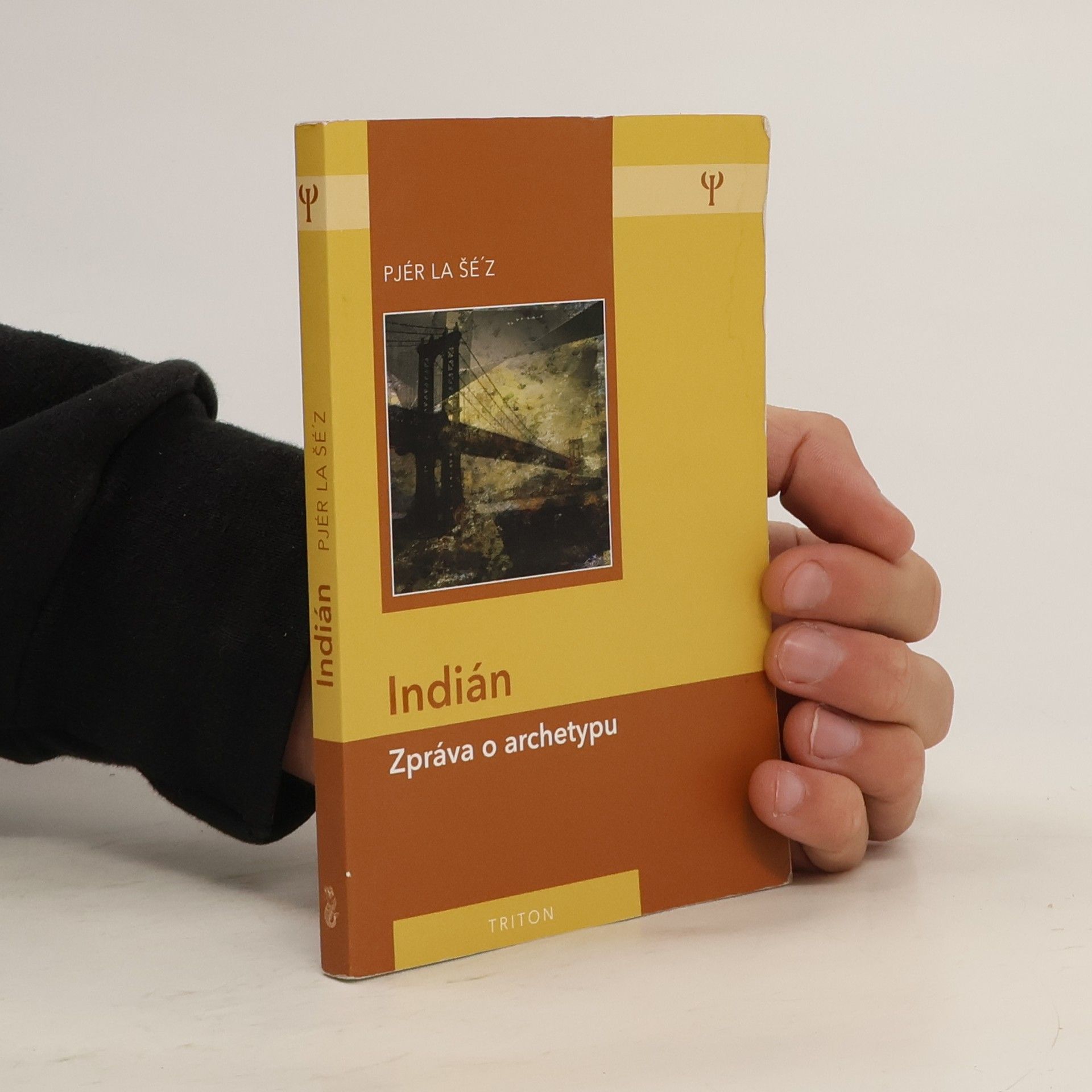 Indián: Zpráva o archetypu